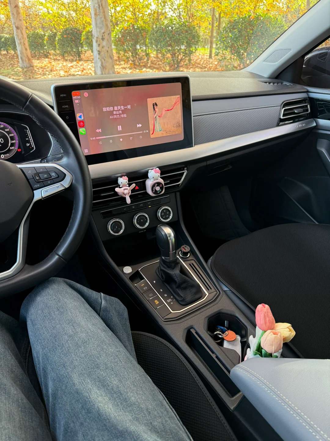 攒4w，提了一辆大众朗逸，月供1600+😎