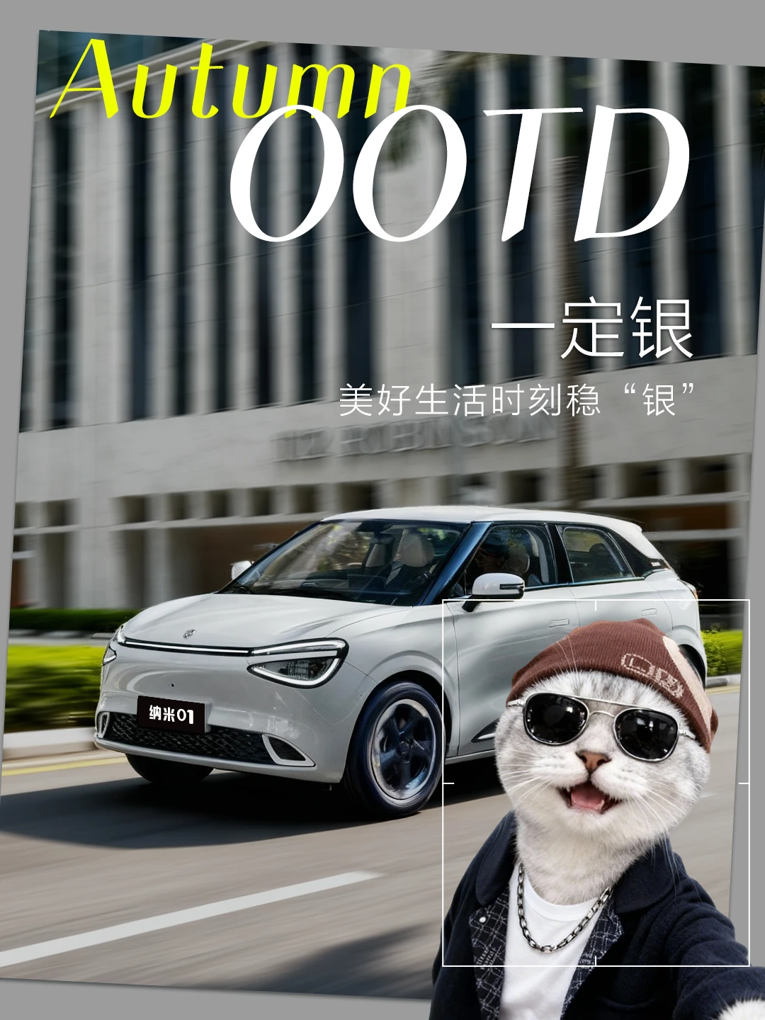 当猫咪遇上纳米01，主打一个「咪里MI气」！