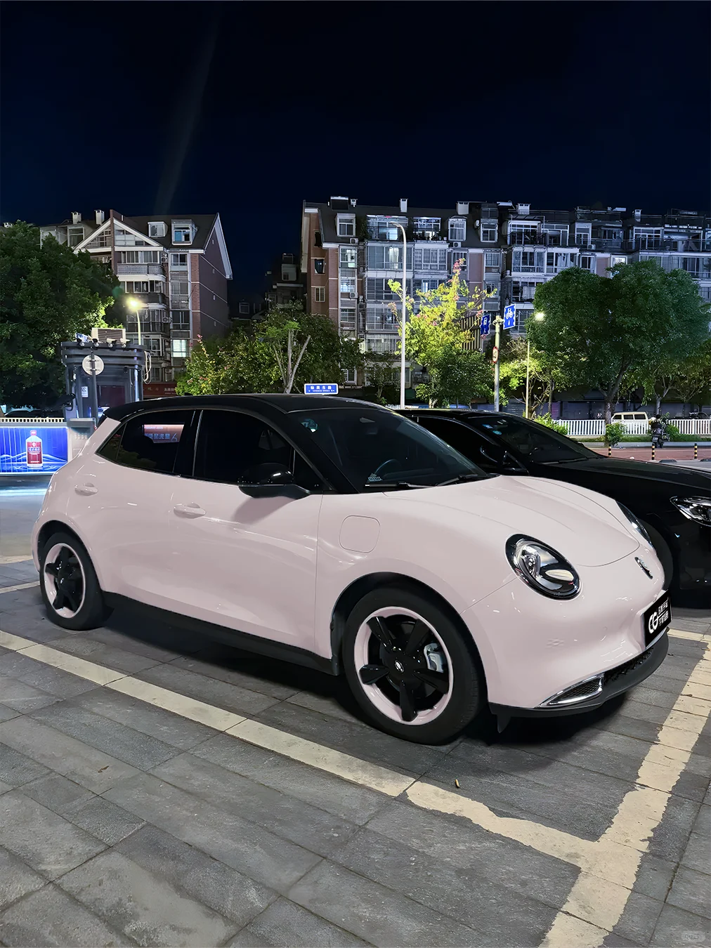 越看越喜欢！粉色猫猫也太好看了！！