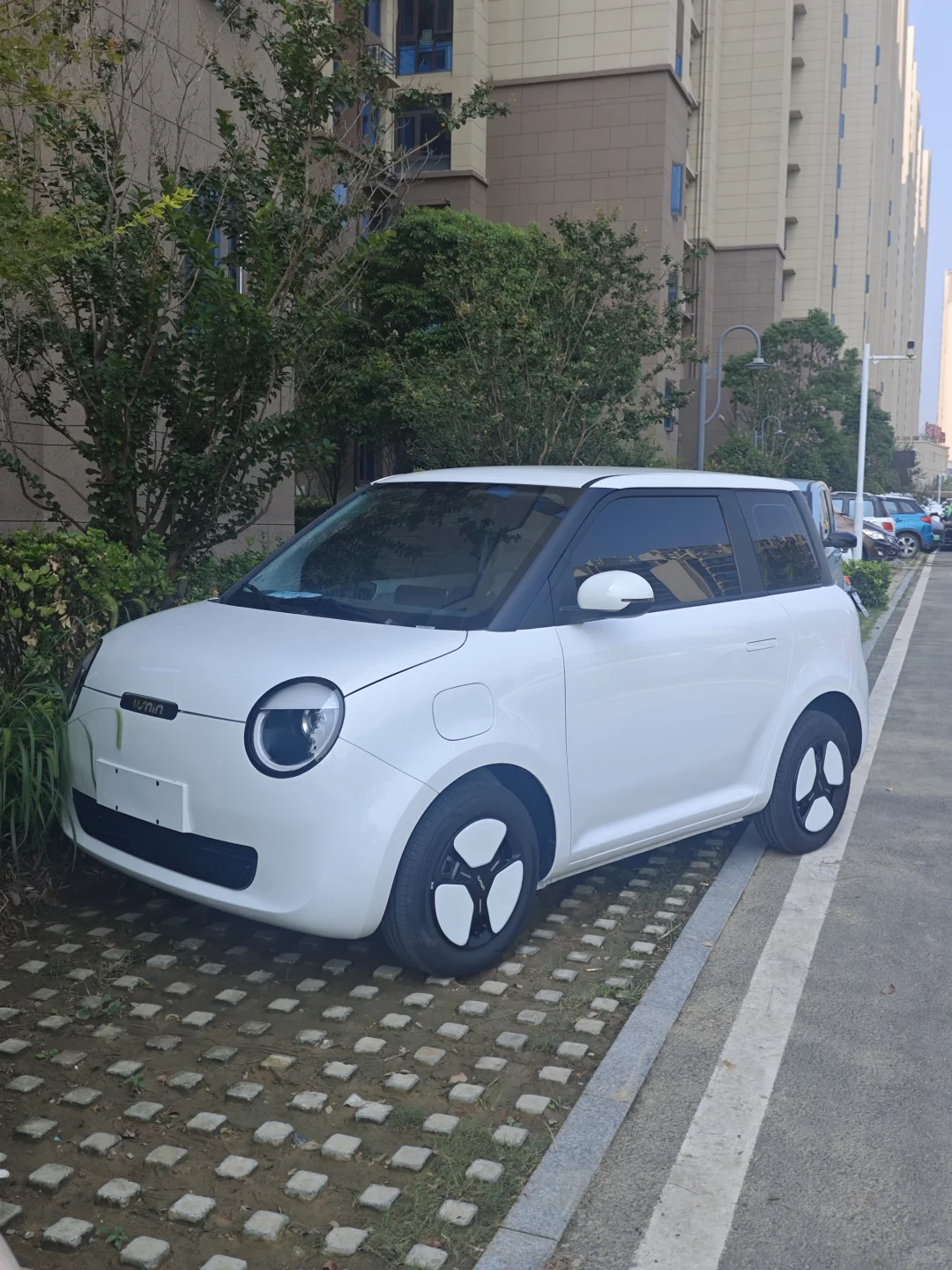 9月1日刚提的糯玉米！说下感受～😘