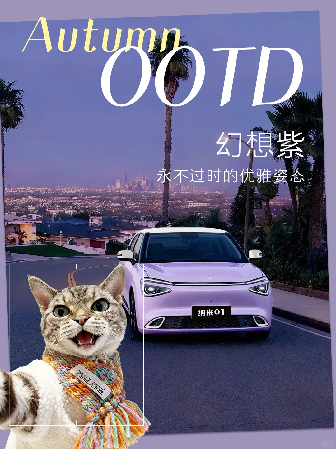 当猫咪遇上纳米01，主打一个「咪里MI气」！