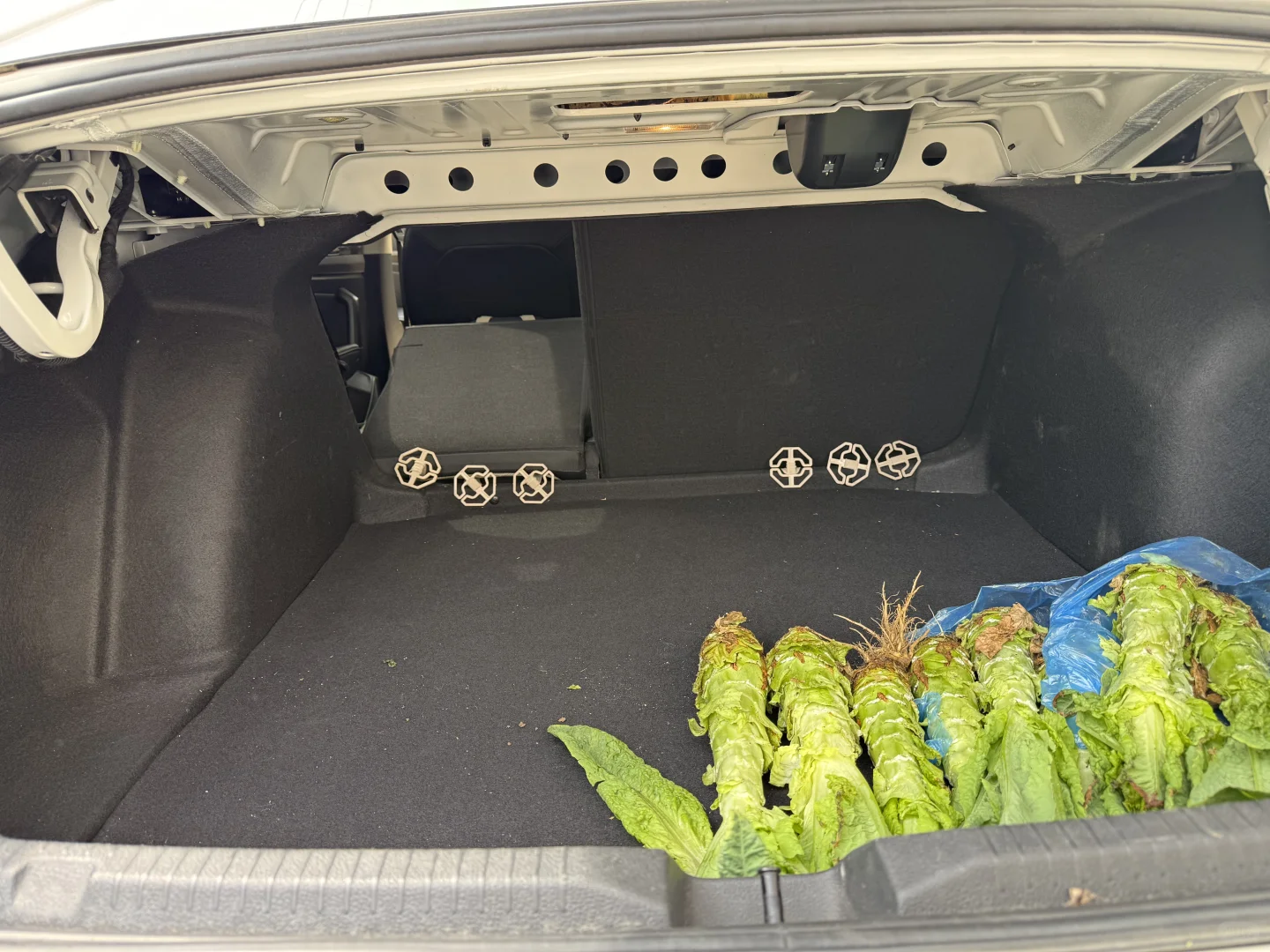 用车三年｜朗逸依旧帅气十足