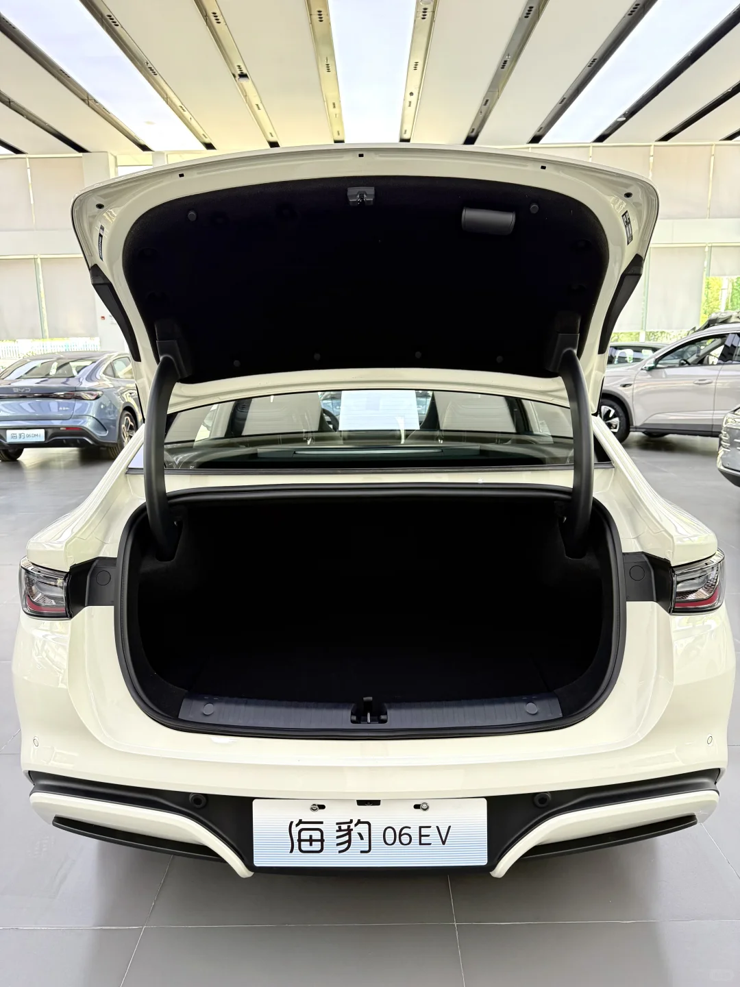 比亚迪海豹06 EV：颜值与实力双在线✨