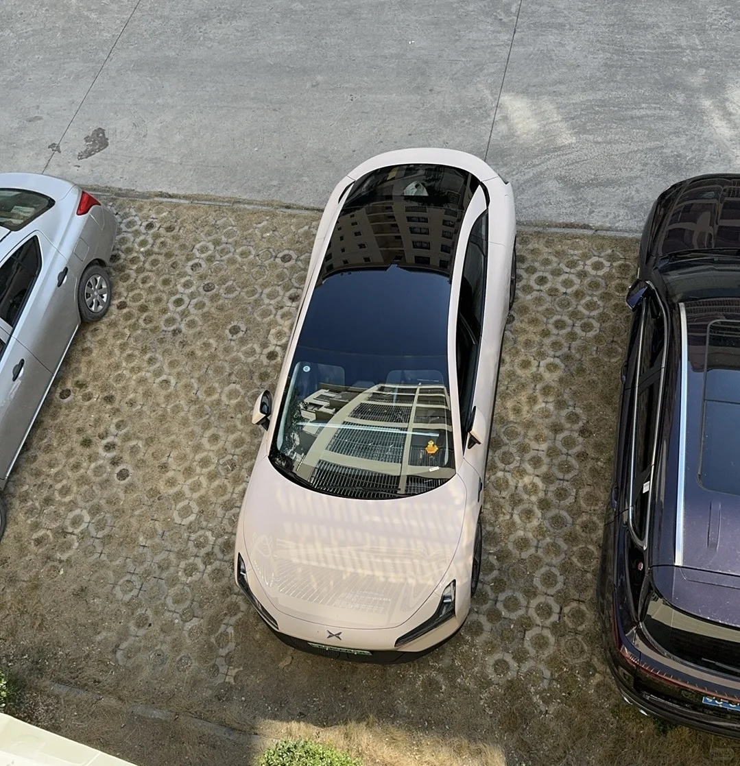 我的猫呐Mona03，一个月真实反馈！