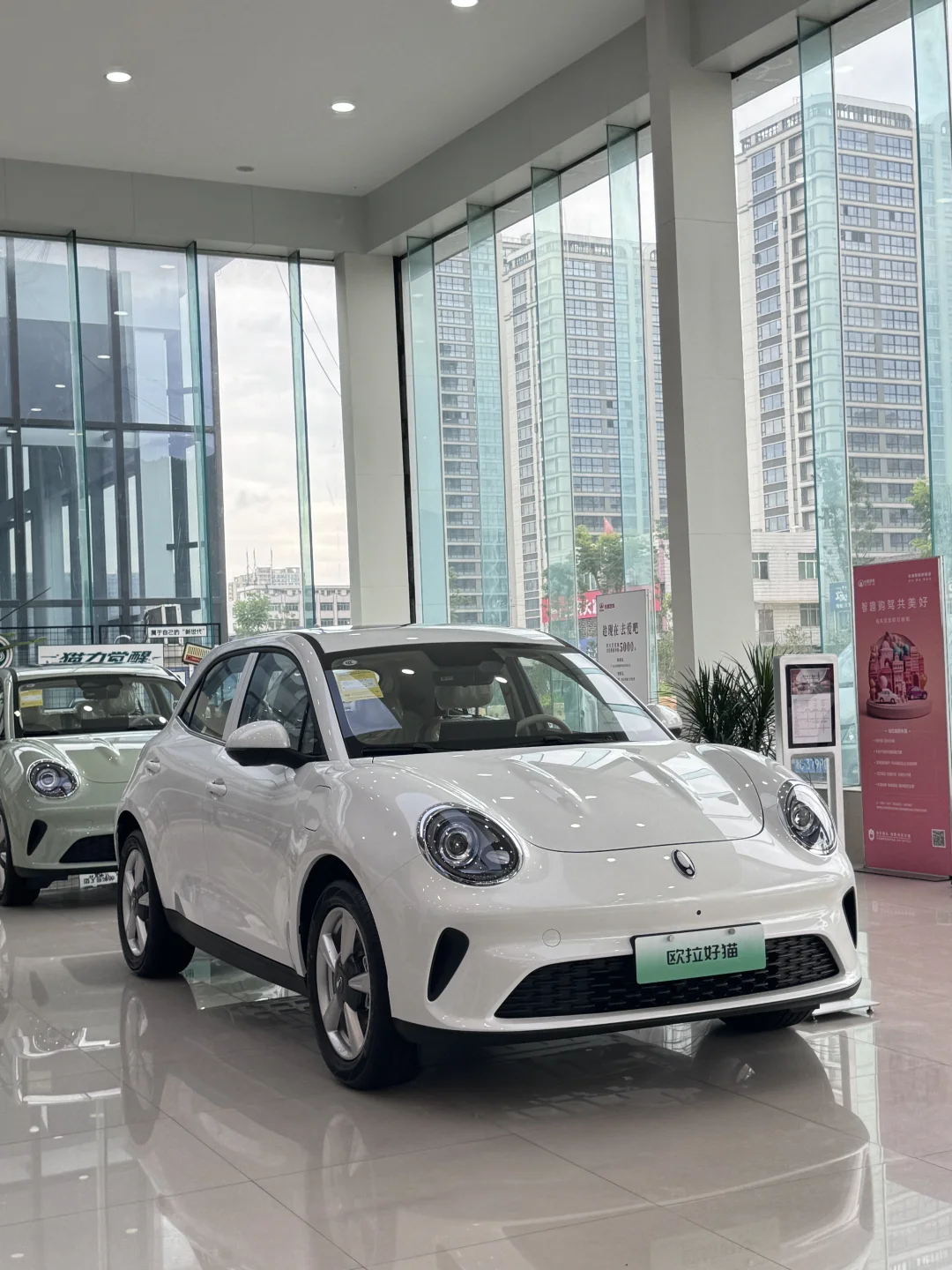 预算就5万 要不要咬咬牙买好猫？