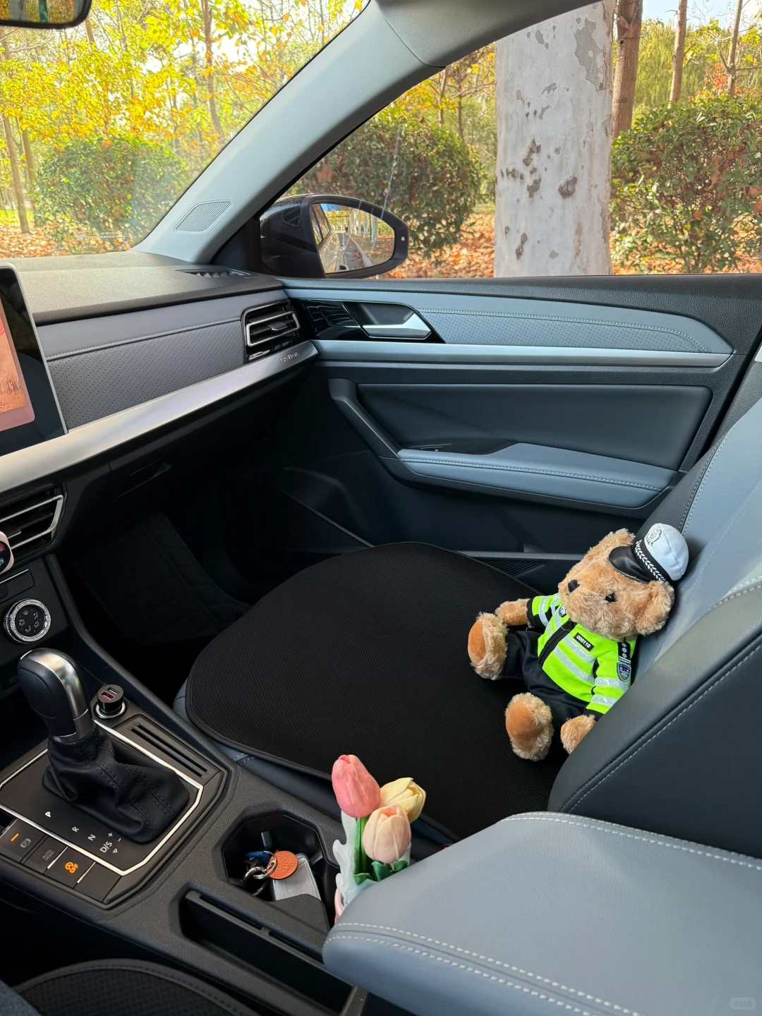 攒4w，提了一辆大众朗逸，月供1600+😎