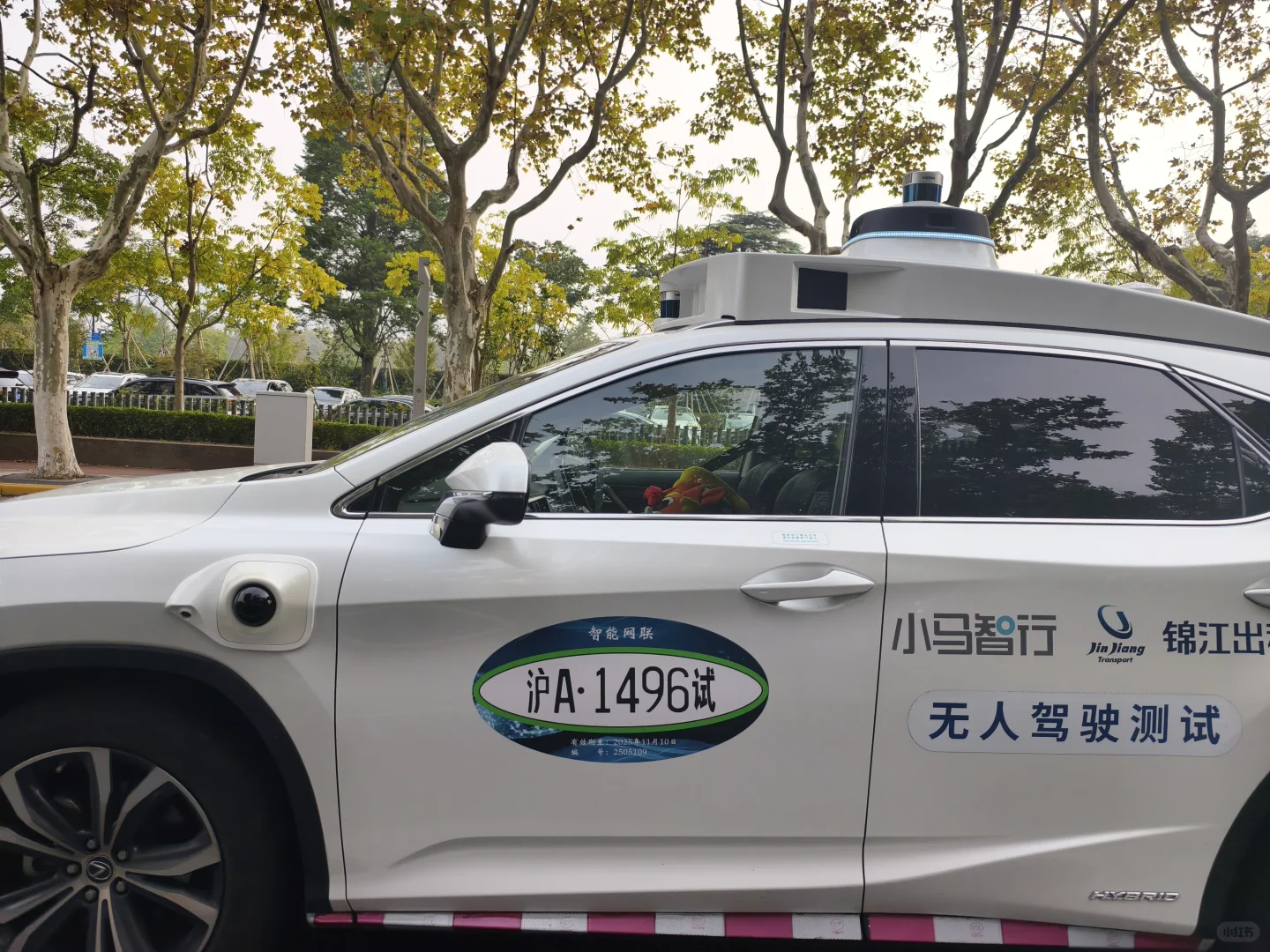 看到了上海的无人智驾，速度还很快