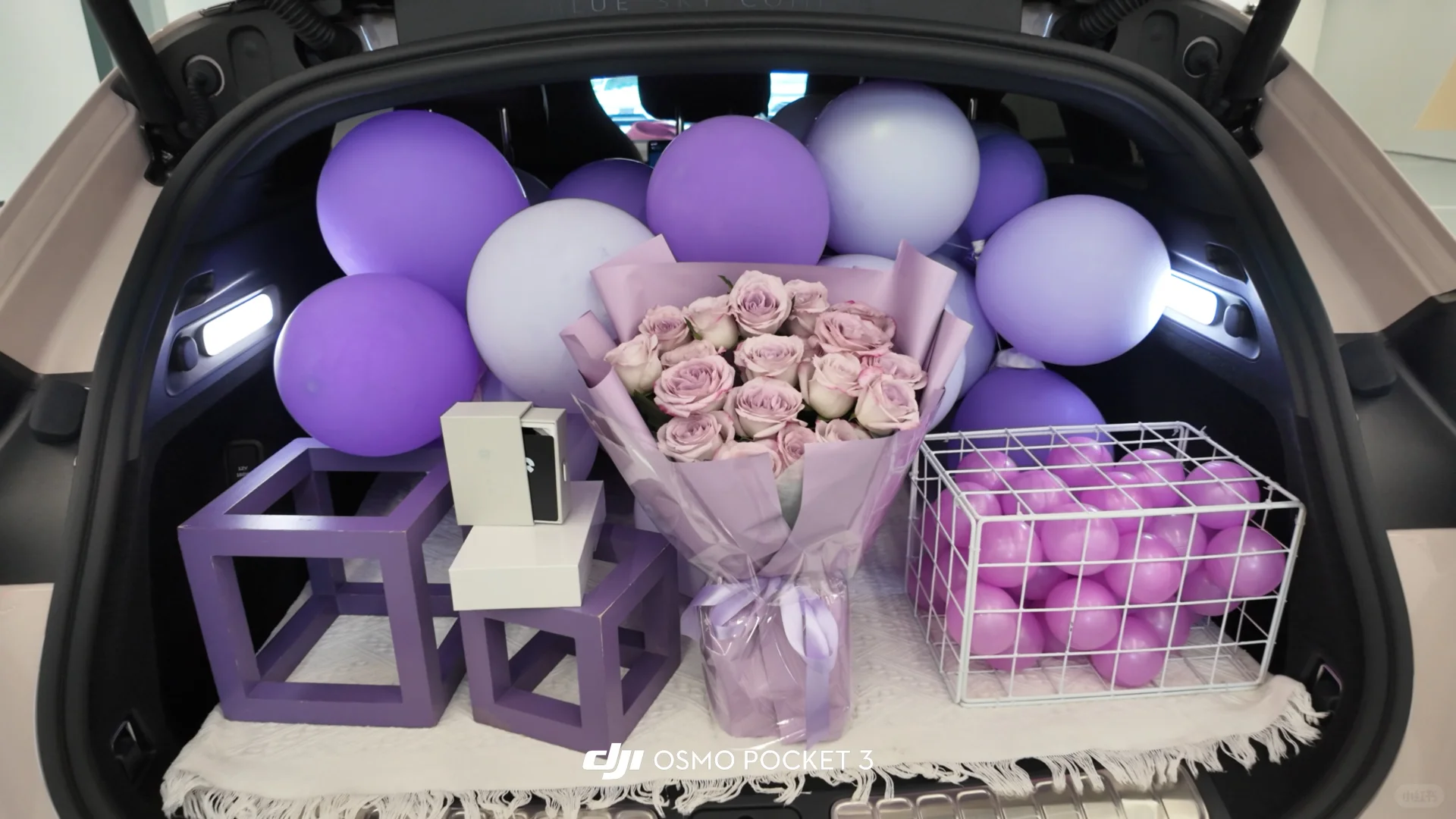 狗都不买 我买！！人生第二辆大玩具🚗