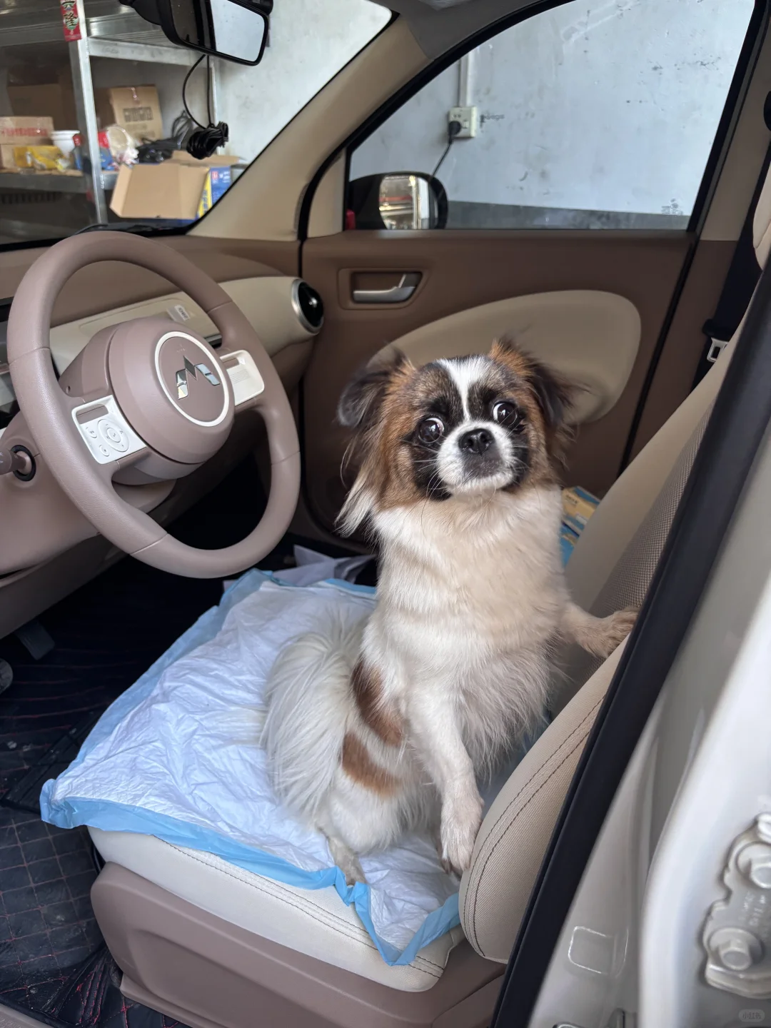 三万一千五，全款拿下！