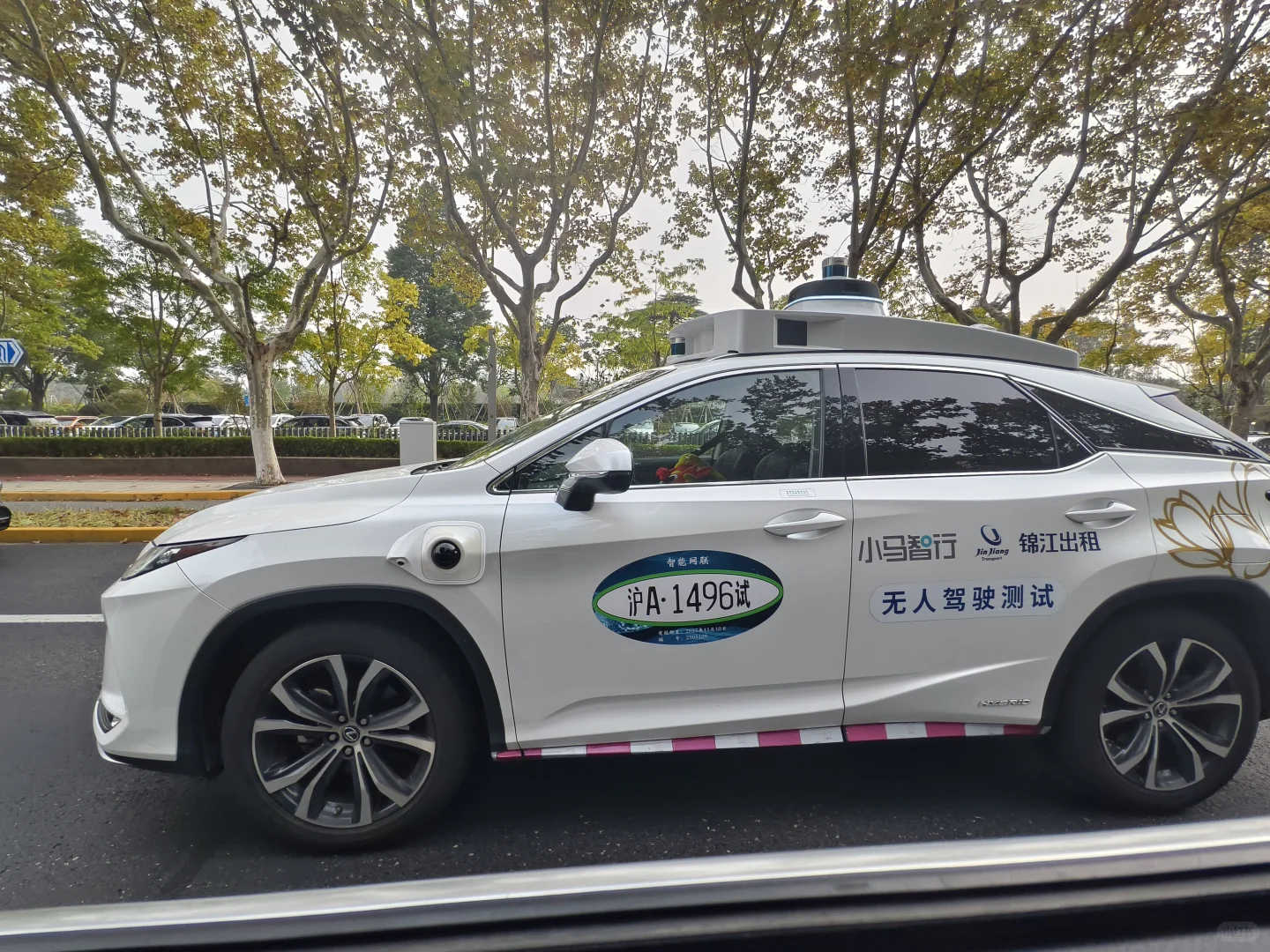 看到了上海的无人智驾，速度还很快
