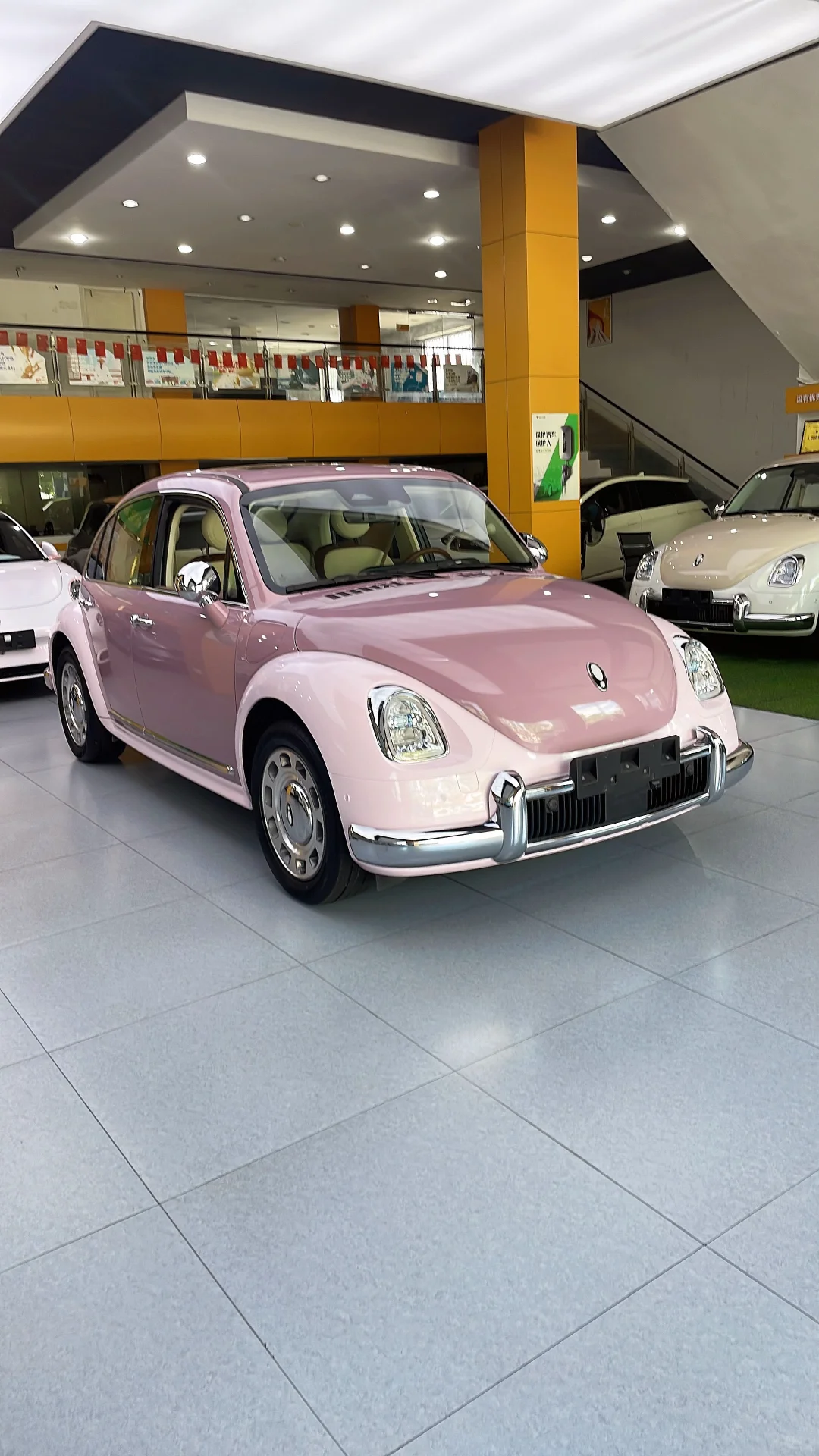 紫霞仙子芭蕾猫