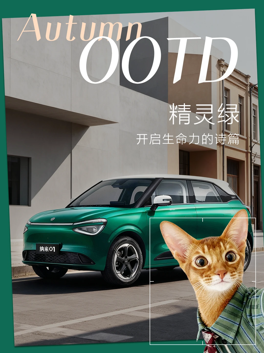 当猫咪遇上纳米01，主打一个「咪里MI气」！