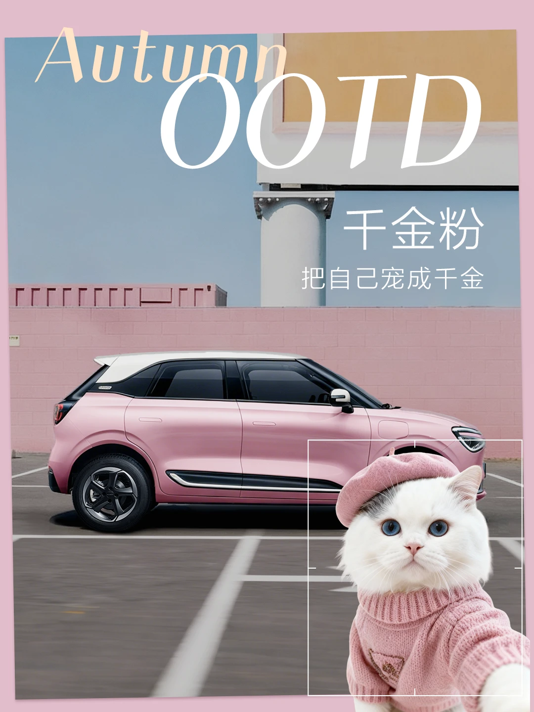 当猫咪遇上纳米01，主打一个「咪里MI气」！