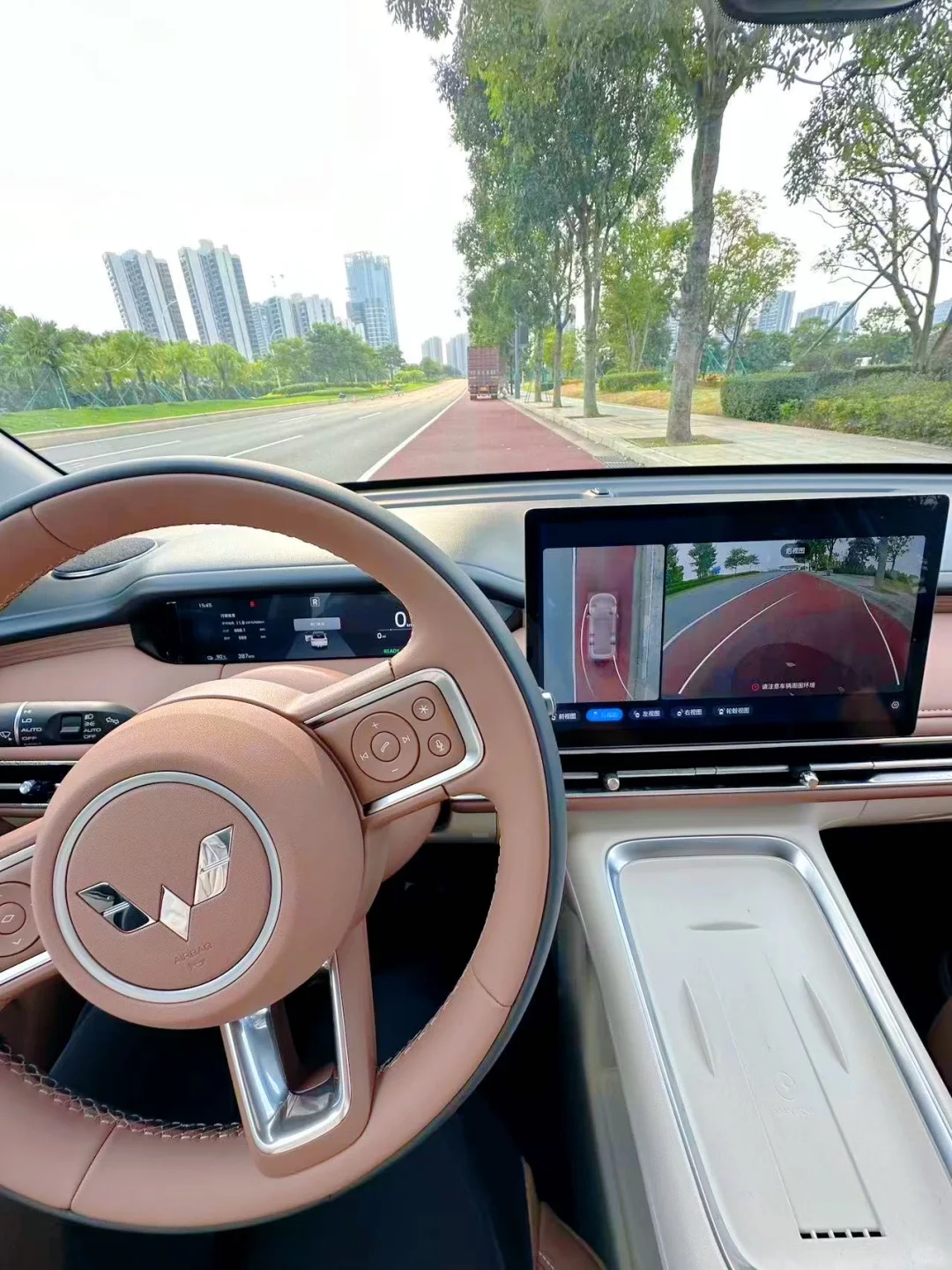 28岁全款拿下五菱缤果S🚗有车友吗！