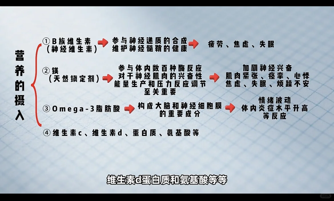 植物神经，身体的“自动驾驶”需要好好保养