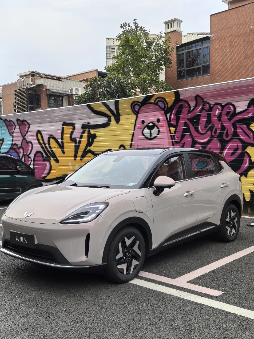 体制内开这个车可以吗？