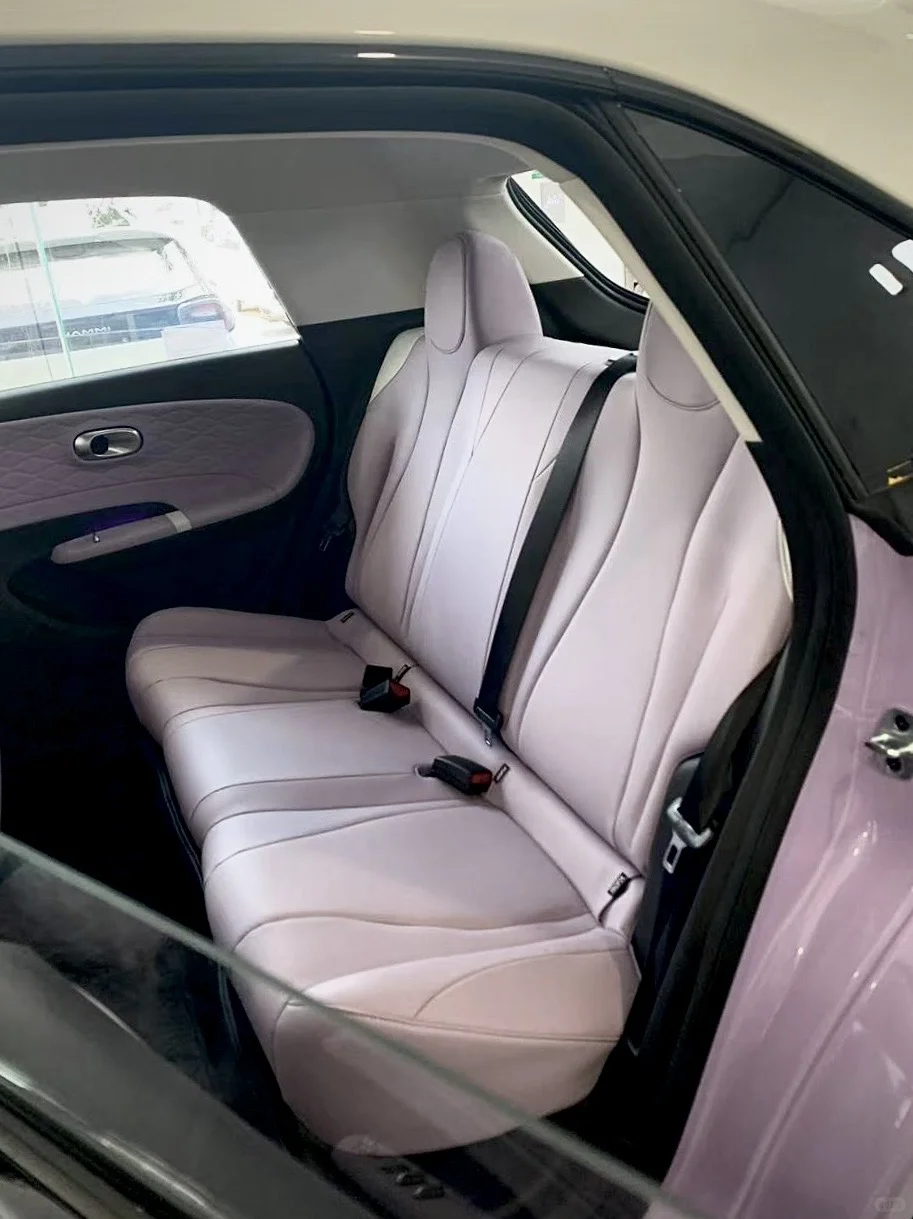 被东风纳米01狠狠戳中！女生选车闭眼冲