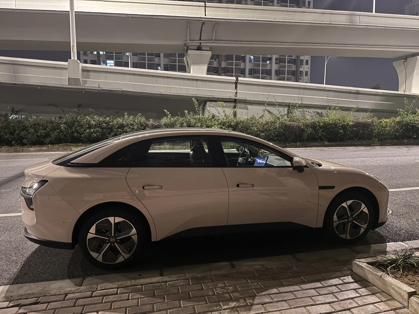 我的猫呐Mona03，一个月真实反馈！