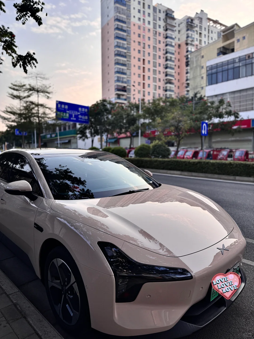 我的猫呐Mona03，一个月真实反馈！