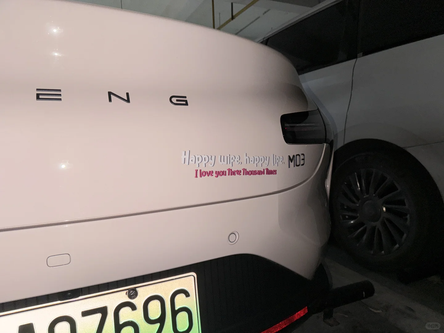 我的猫呐Mona03，一个月真实反馈！