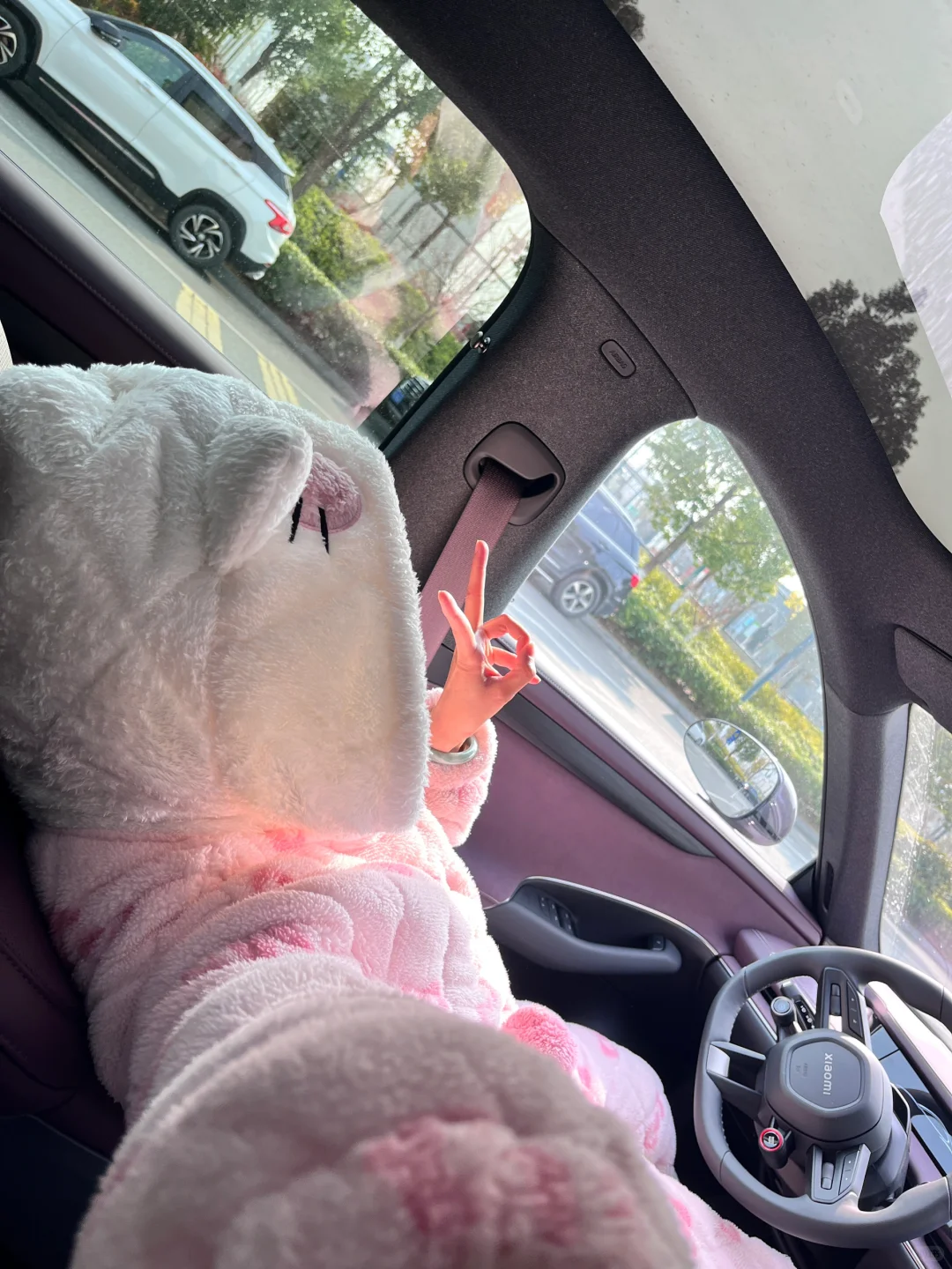 00年女生小米su7提车1️⃣个月花销一览