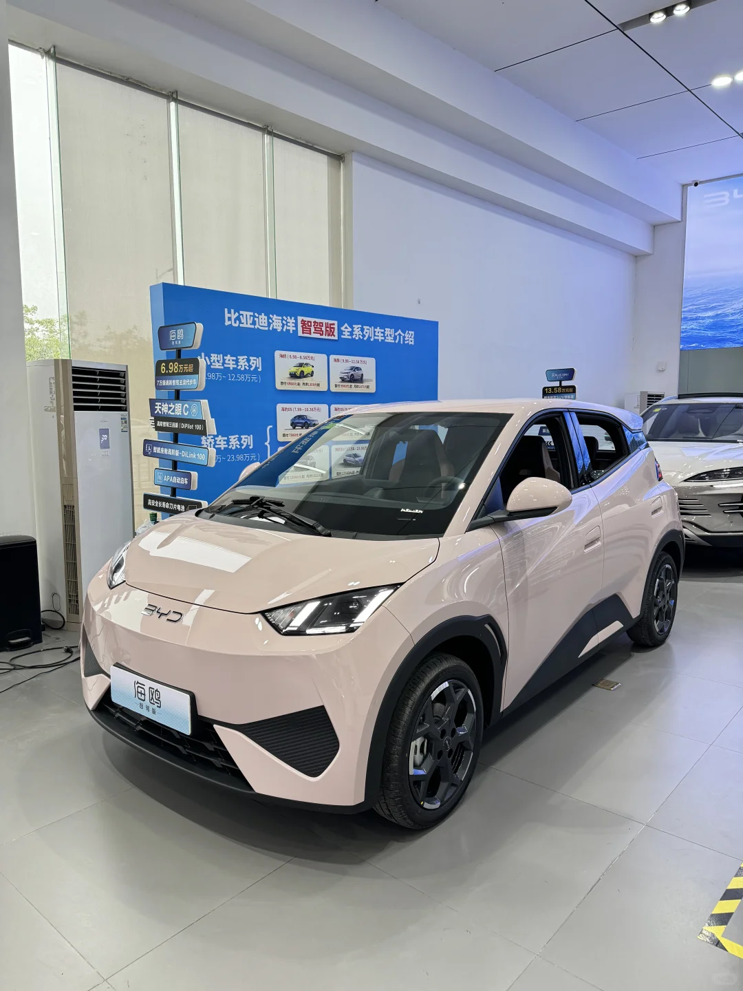 谁懂啊！比亚迪海鸥「代步车」玩明白了！🚗💨