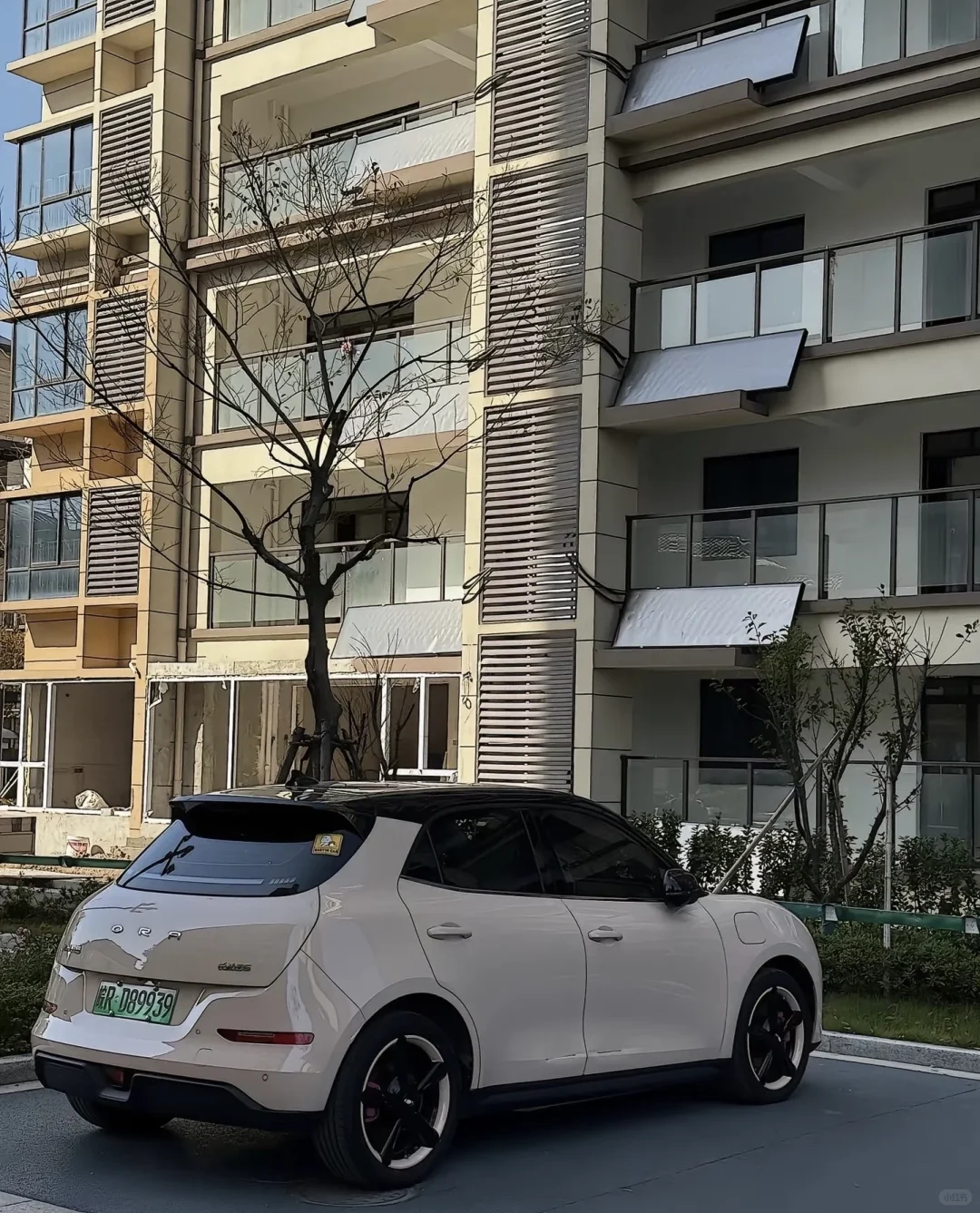 女生的第一辆小车车怎么选，抓紧看过来咯