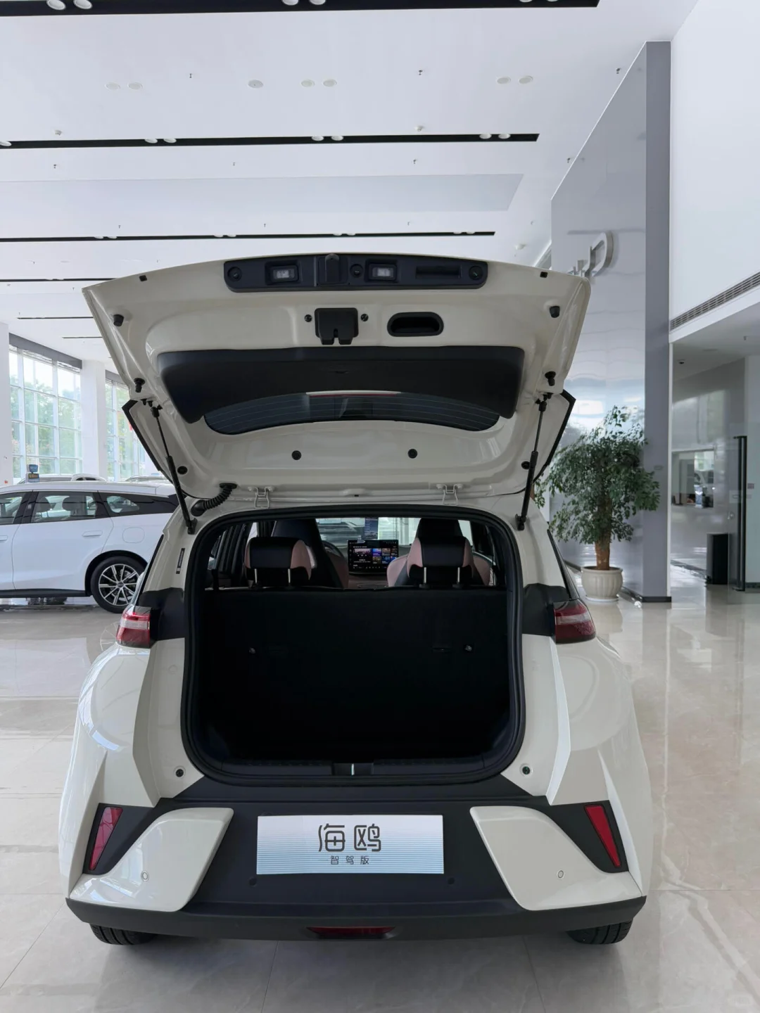 小海鸥使用6个月的真实感受🚔