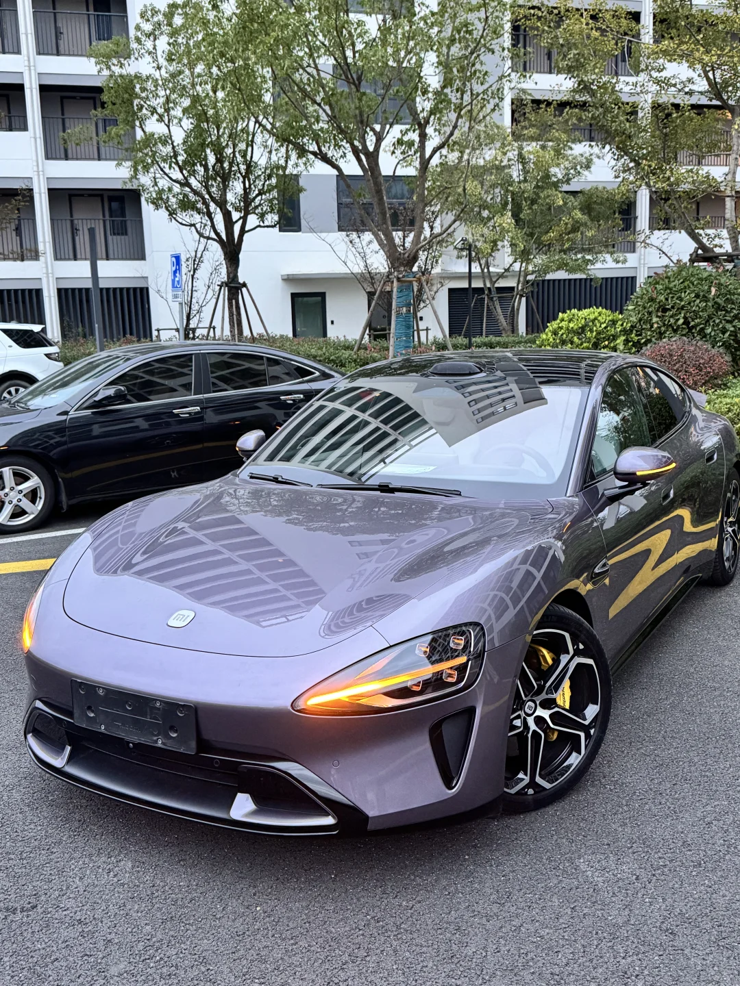 谁还没个小米 SU7 MAX 绿化带战士.