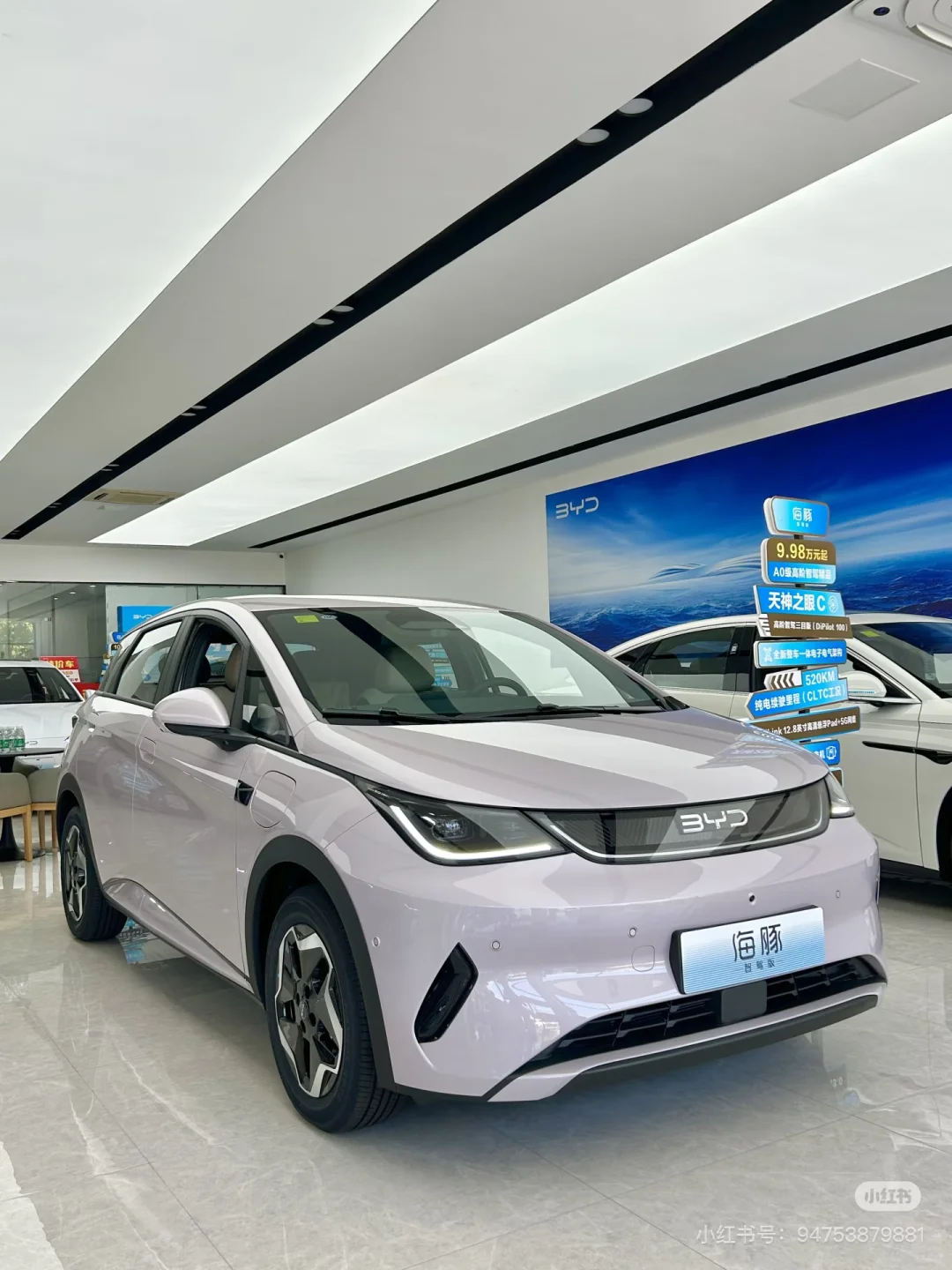 0万级智驾王者！海豚让我彻底放弃油车🚗💨