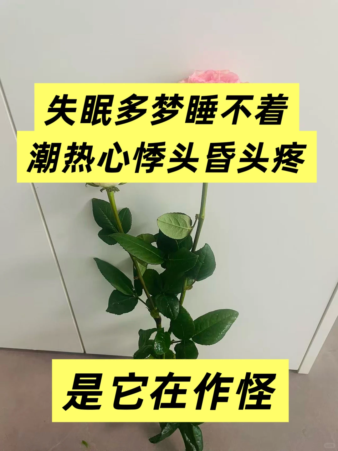 植物神经，身体的“自动驾驶”需要好好保养
