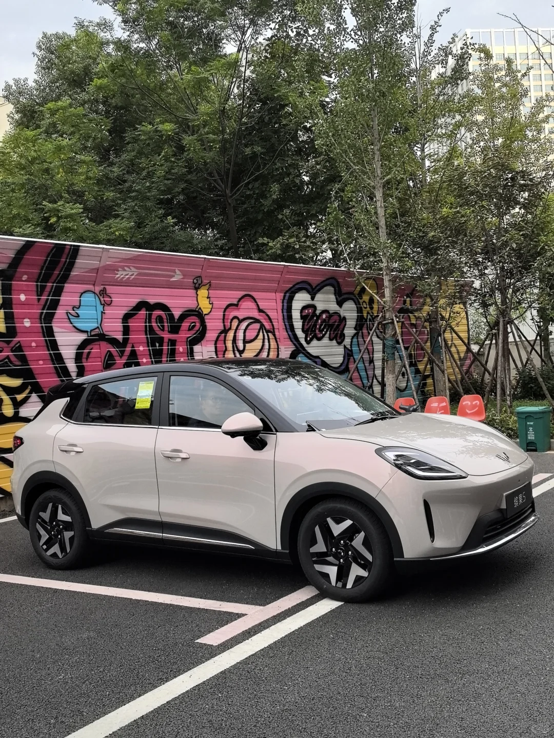 体制内开这个车可以吗？