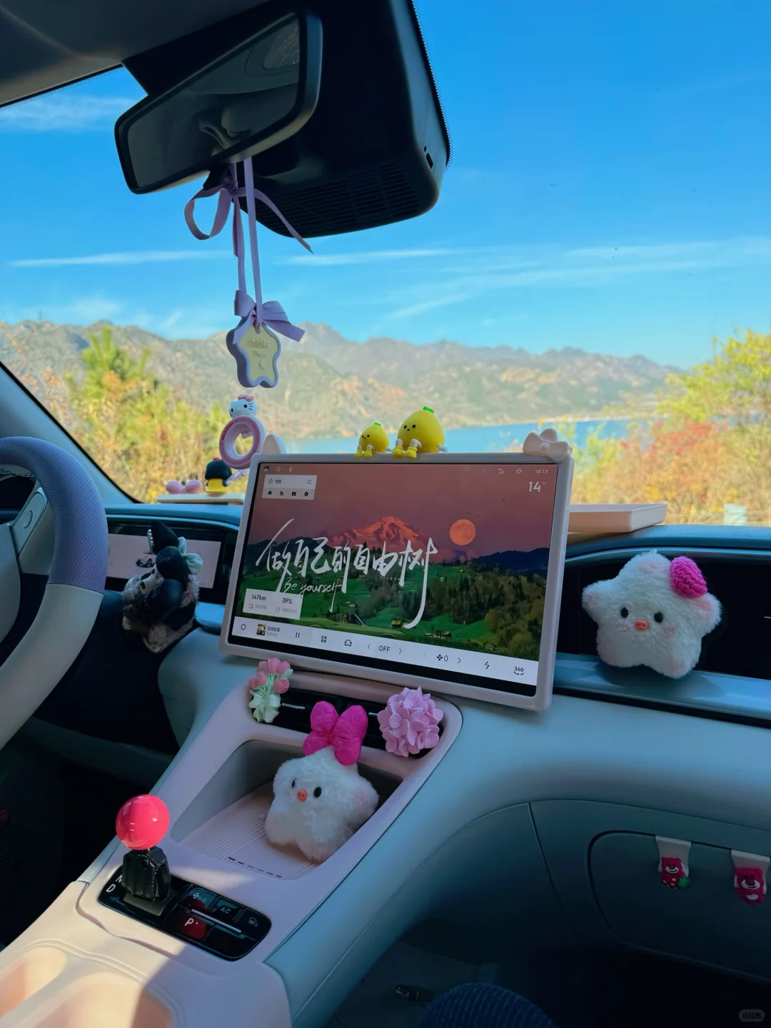 沉浸式拍星愿🚘