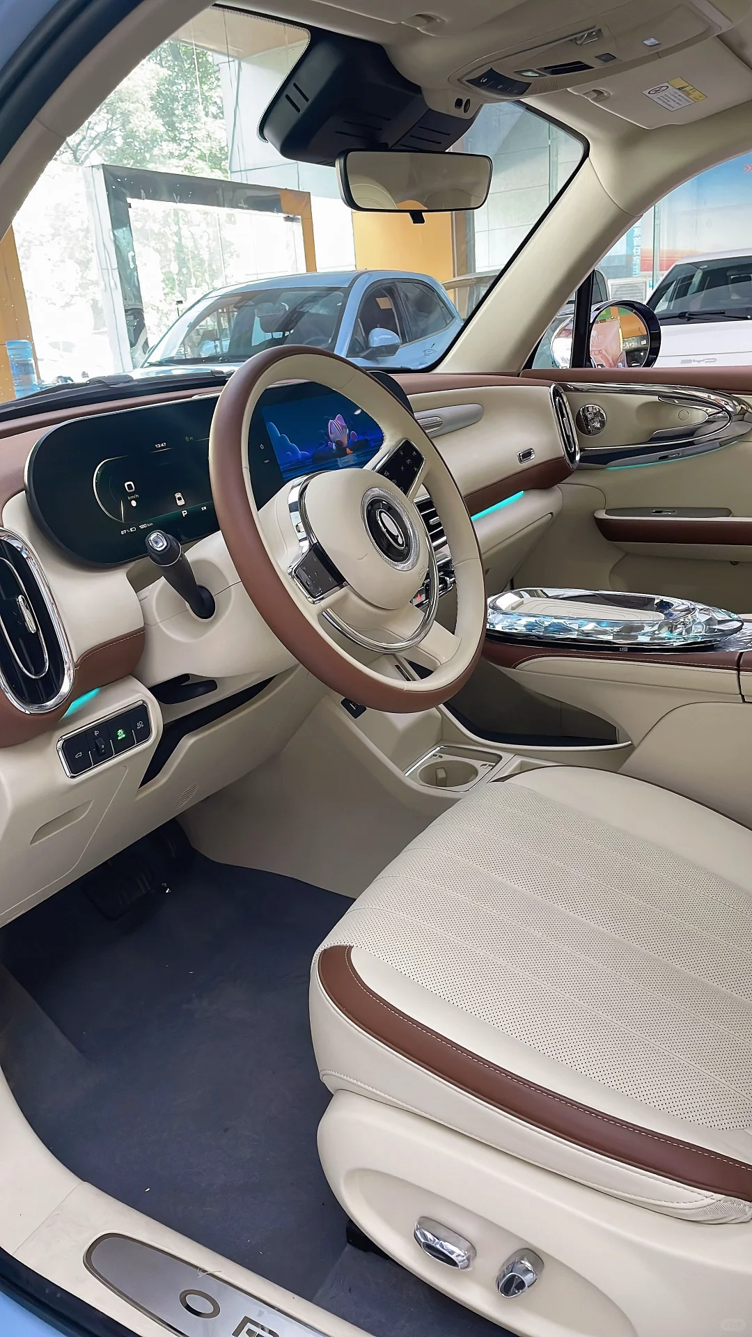 紫霞仙子芭蕾猫