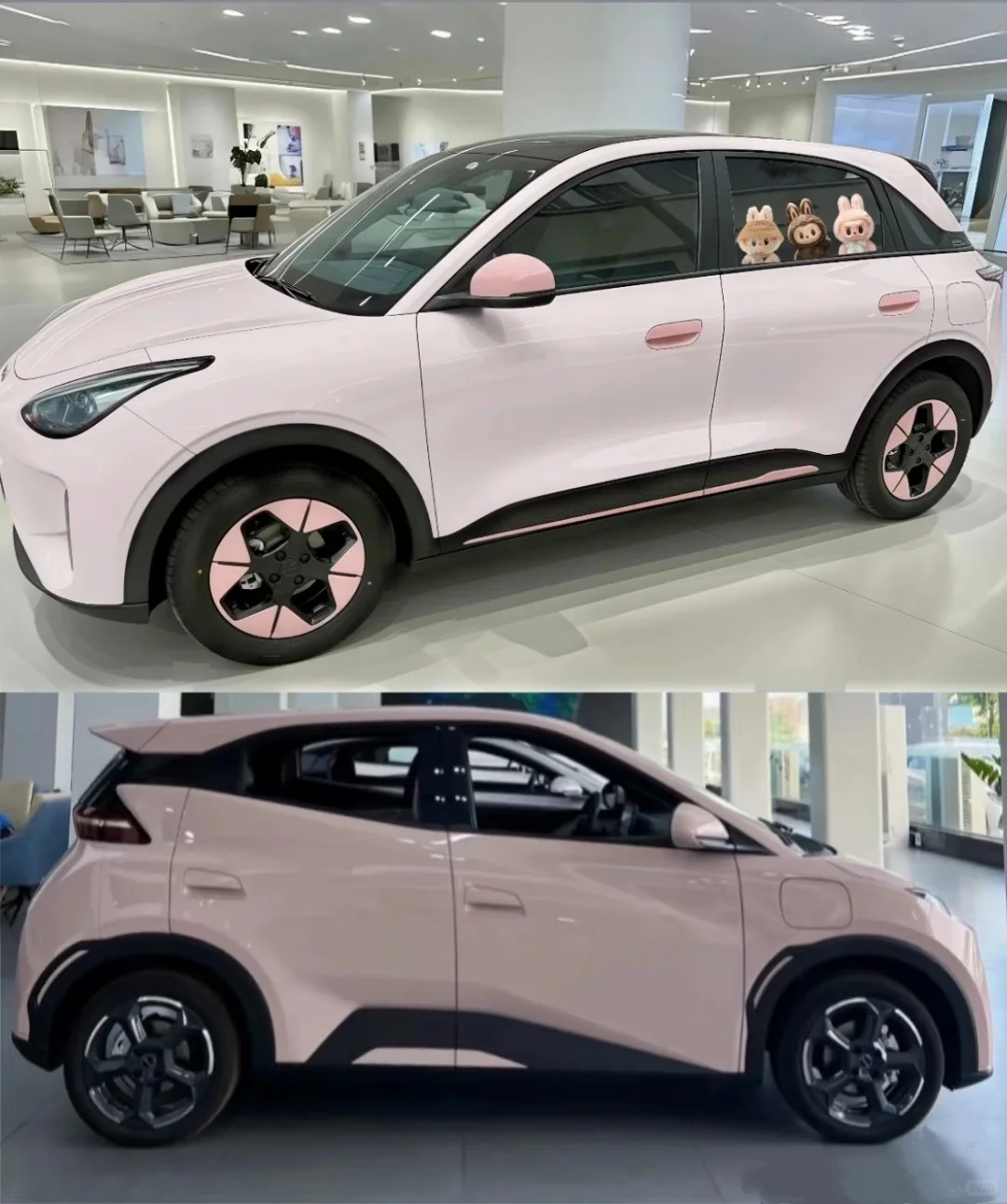 女生代步车 好纠结