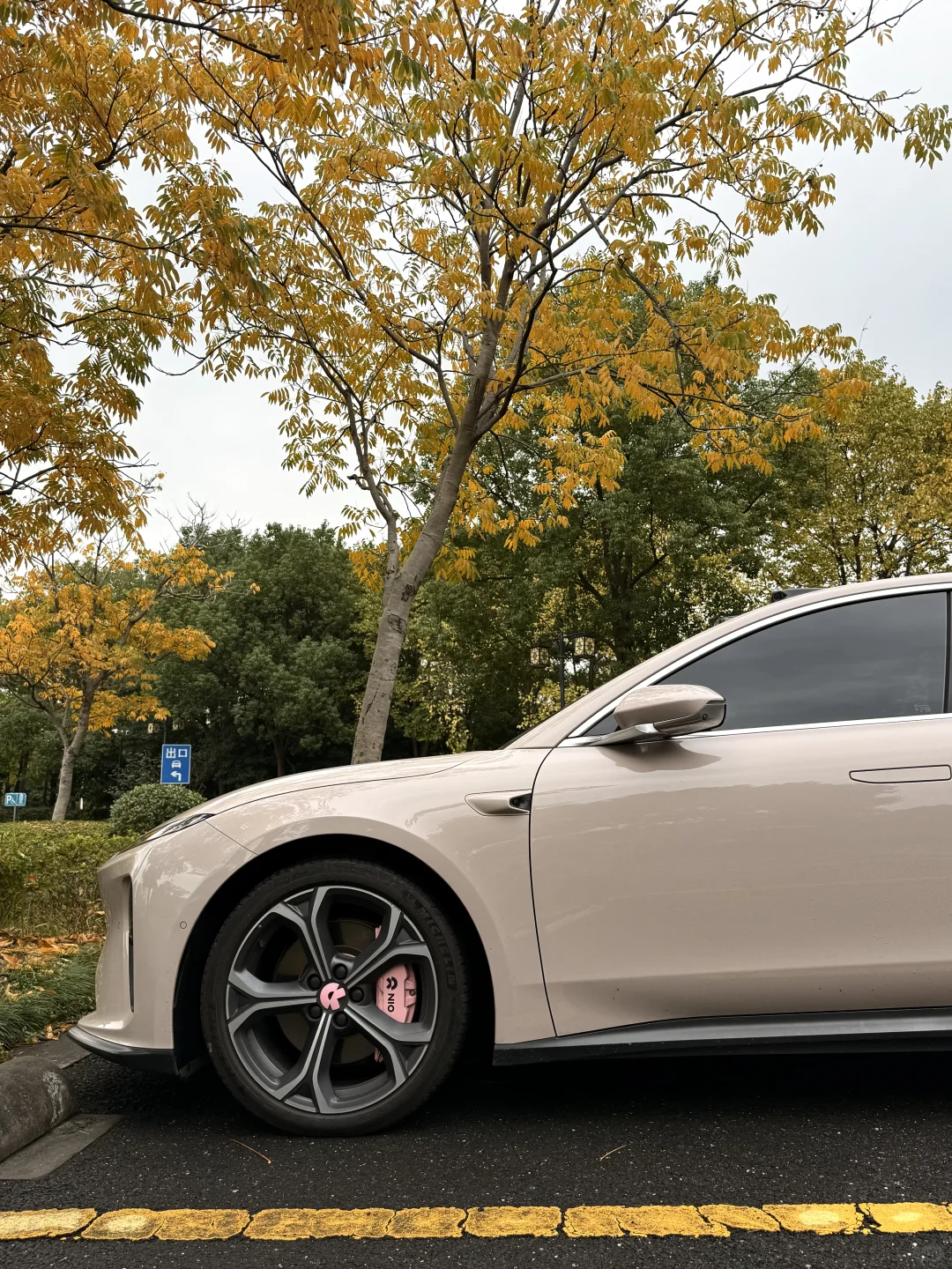 对于我一个普通家庭的女生，蔚来已经很不错