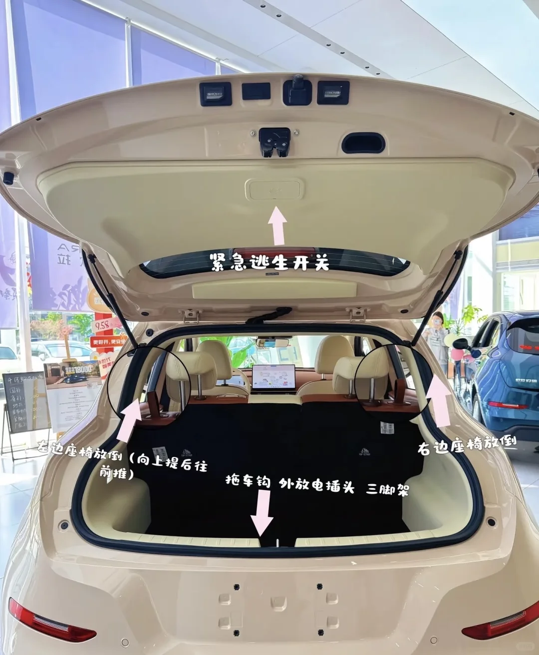 女生的第一辆小车车怎么选，抓紧看过来咯