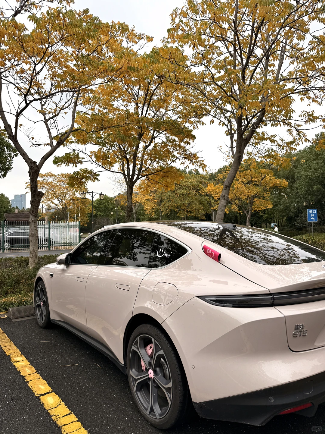 对于我一个普通家庭的女生，蔚来已经很不错