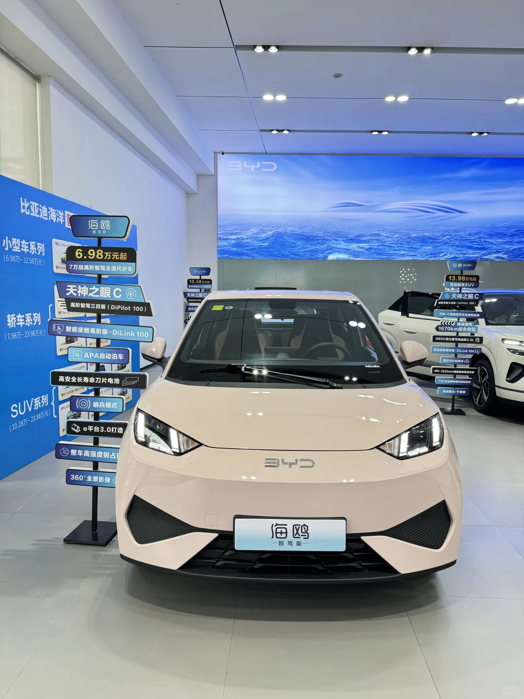 谁懂啊！比亚迪海鸥「代步车」玩明白了！🚗💨