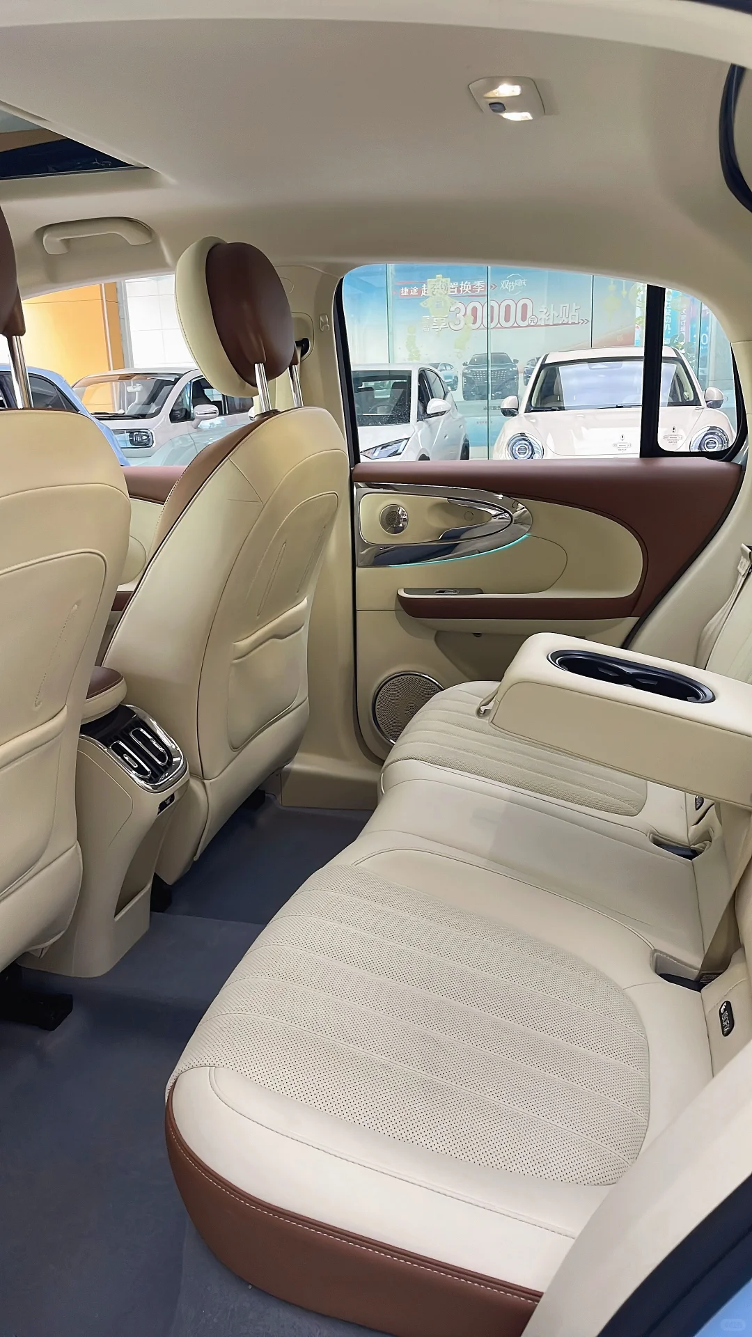 紫霞仙子芭蕾猫