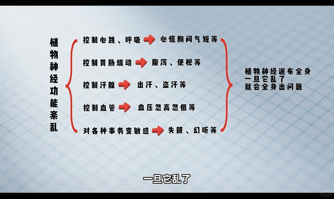植物神经，身体的“自动驾驶”需要好好保养