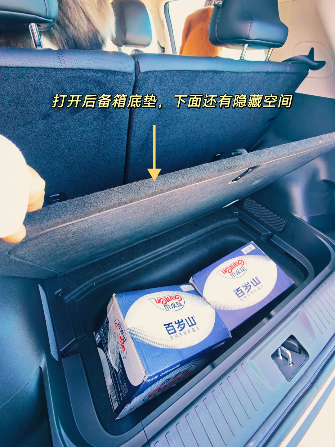 4.99万,500km续航+大空间,国民好车它来了