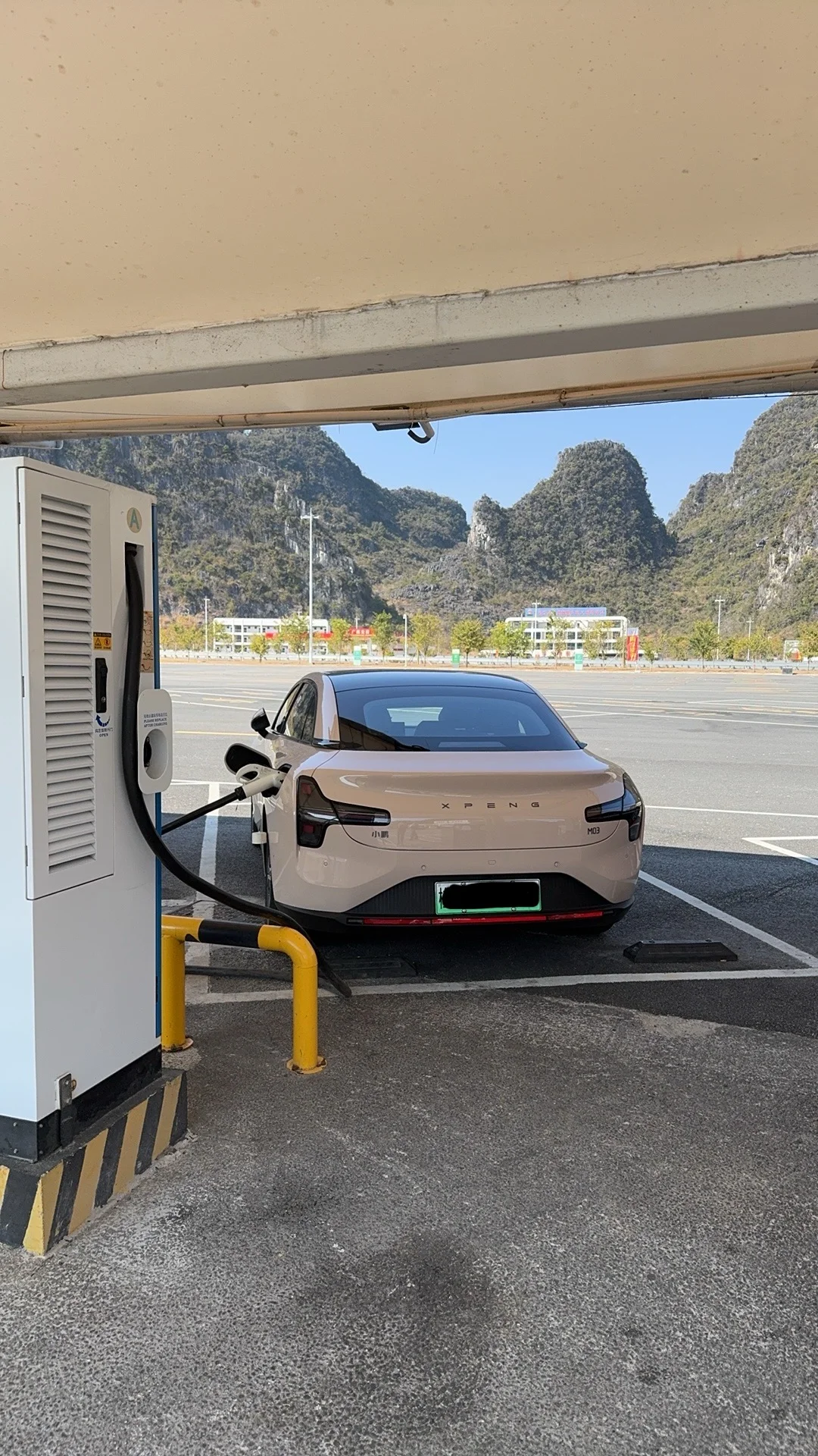 我的猫呐Mona03，一个月真实反馈！