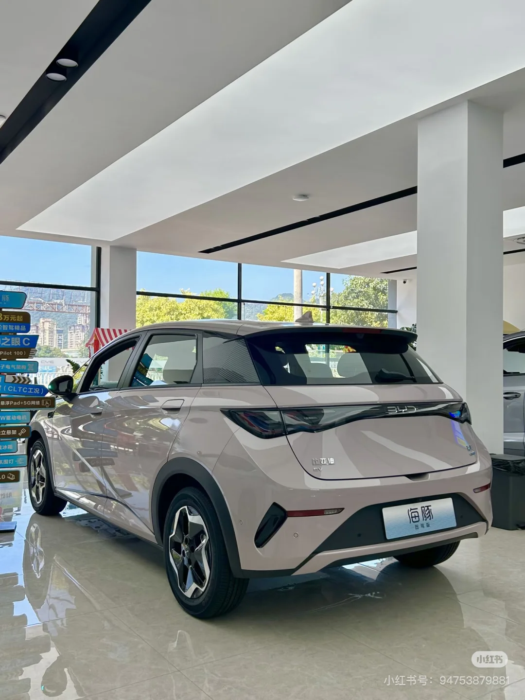 0万级智驾王者！海豚让我彻底放弃油车🚗💨