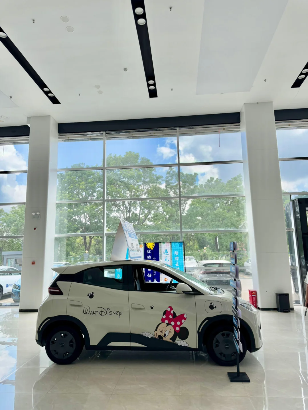 小海鸥使用6个月的真实感受🚔