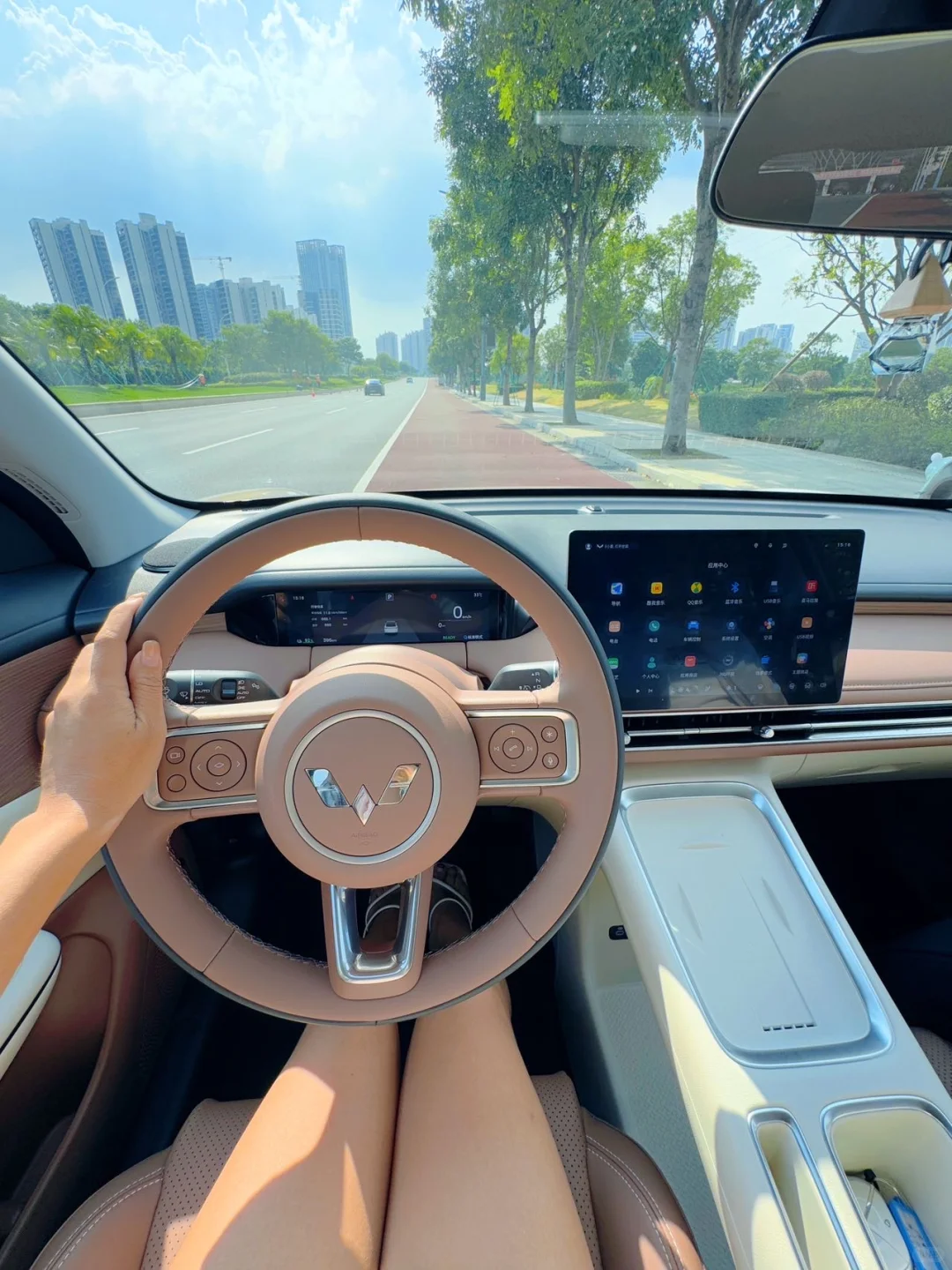 28岁全款拿下五菱缤果S🚗有车友吗！