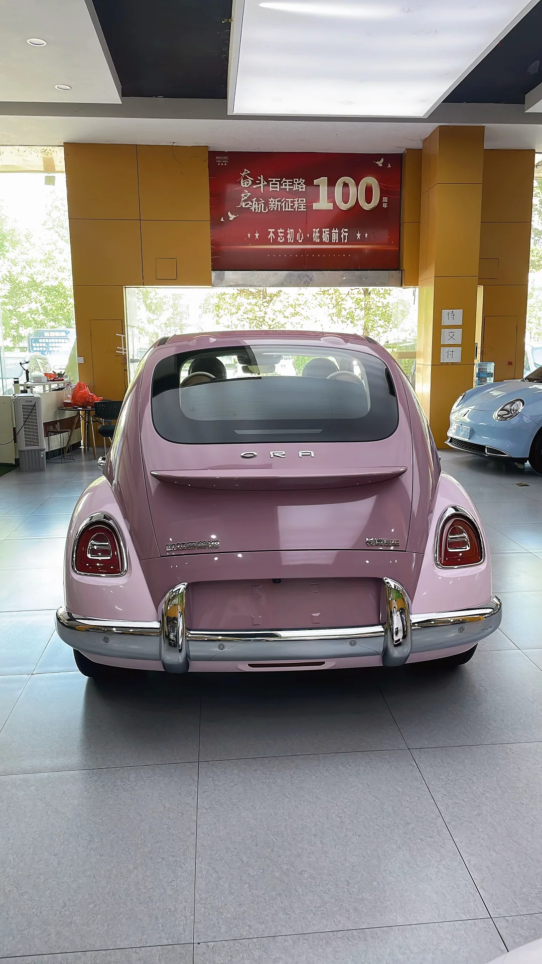 紫霞仙子芭蕾猫