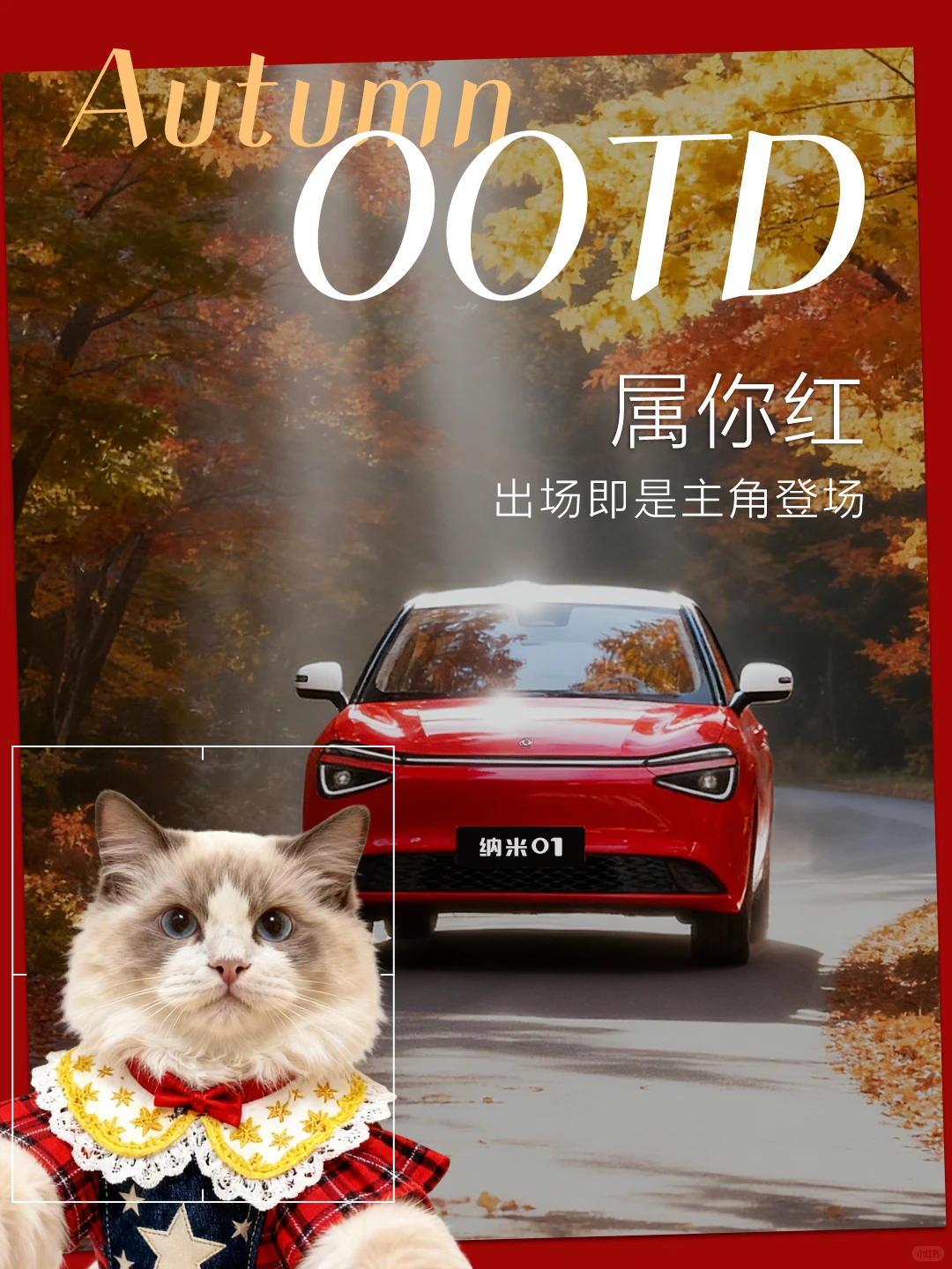 当猫咪遇上纳米01，主打一个「咪里MI气」！