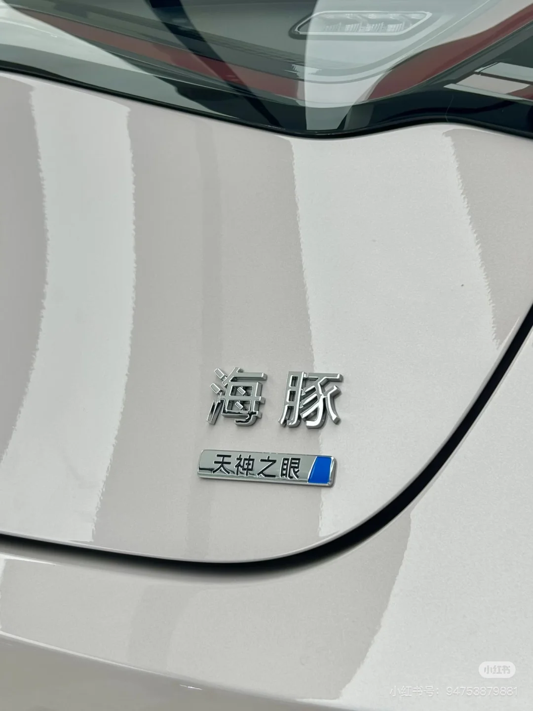 0万级智驾王者！海豚让我彻底放弃油车🚗💨