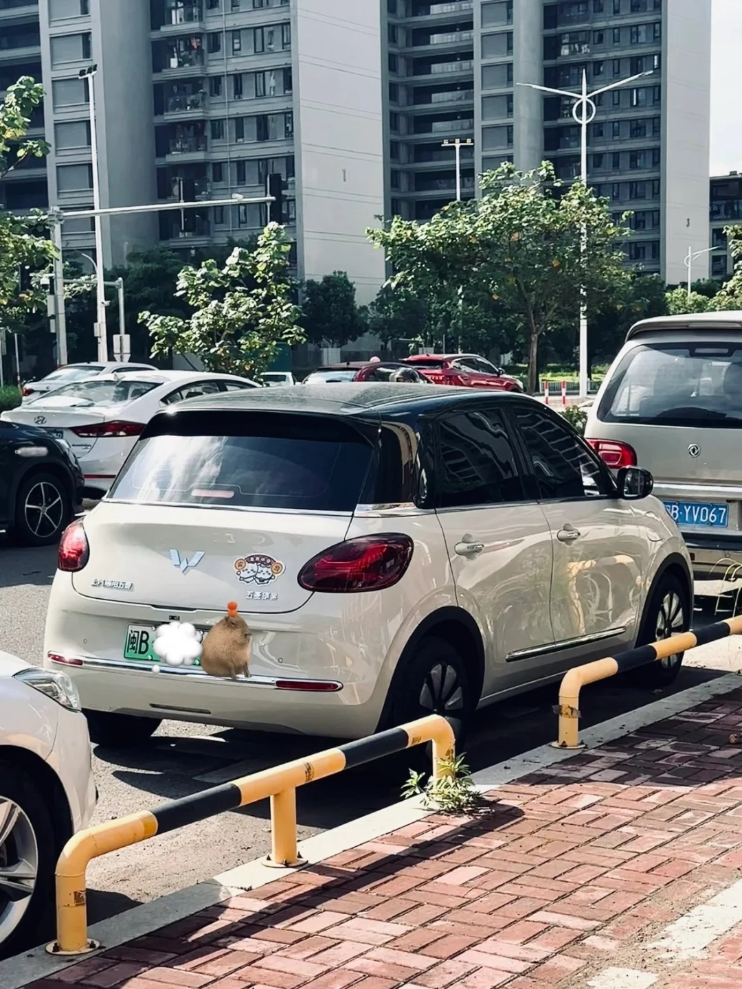 买缤果前：这什么车啊这么小 玩具车一样😅